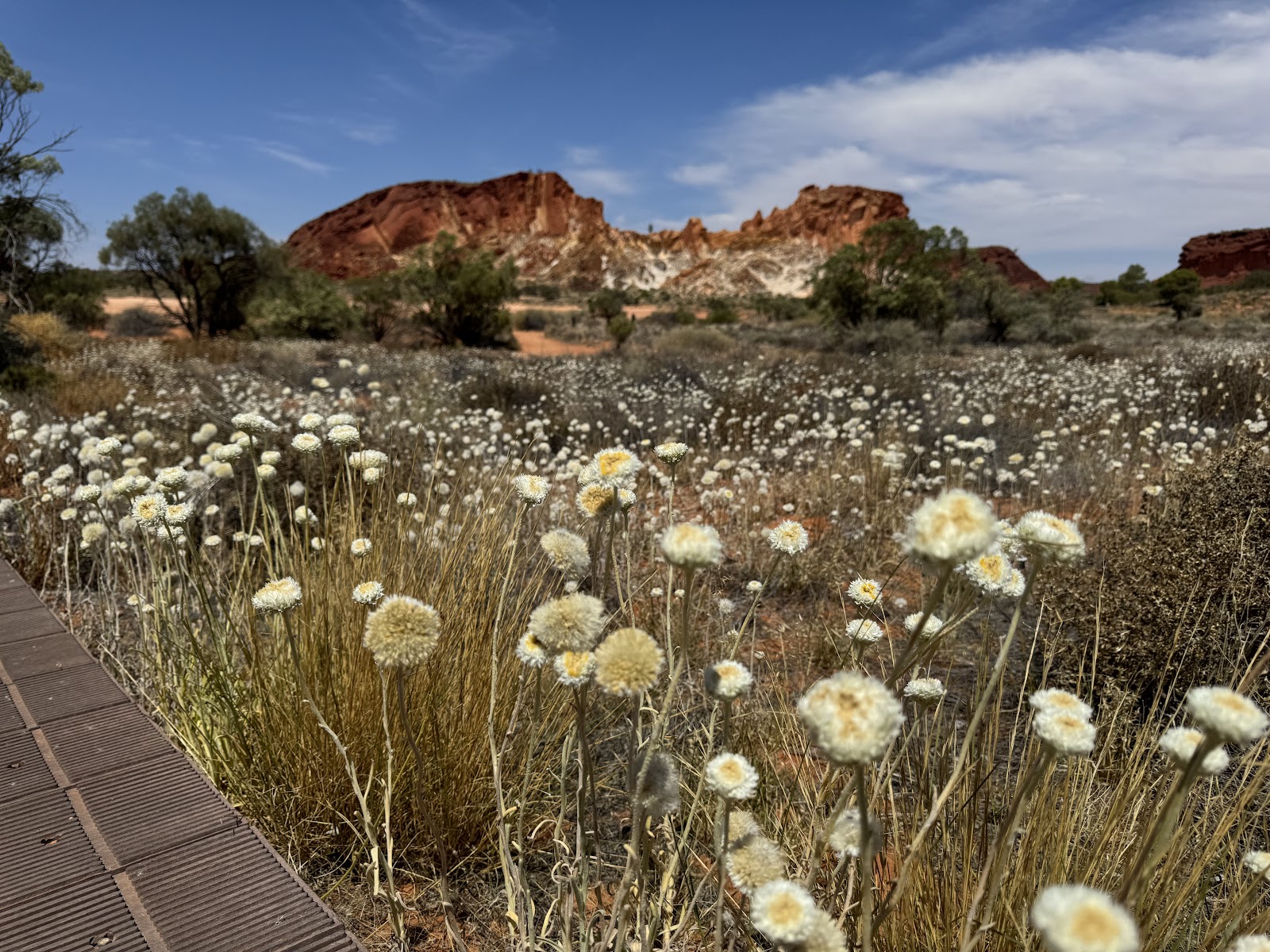 Rainbow Valley Conservation Reserve 2