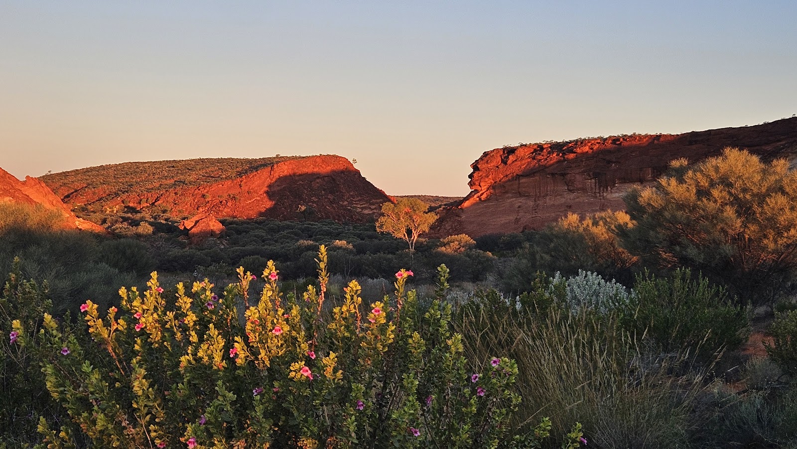 Rainbow Valley Conservation Reserve 3