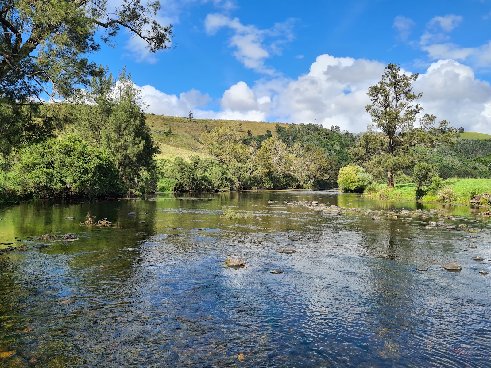 Bretti Reserve 2