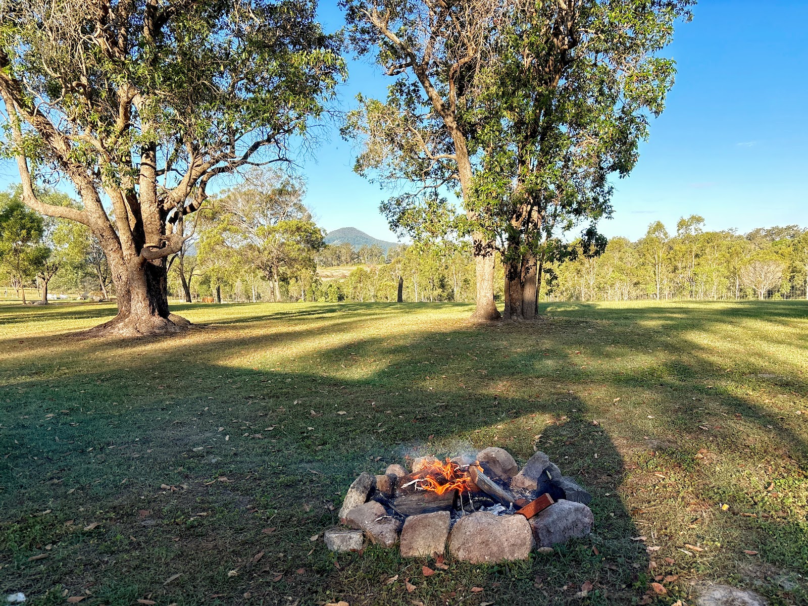 Fig Tree Camp 2