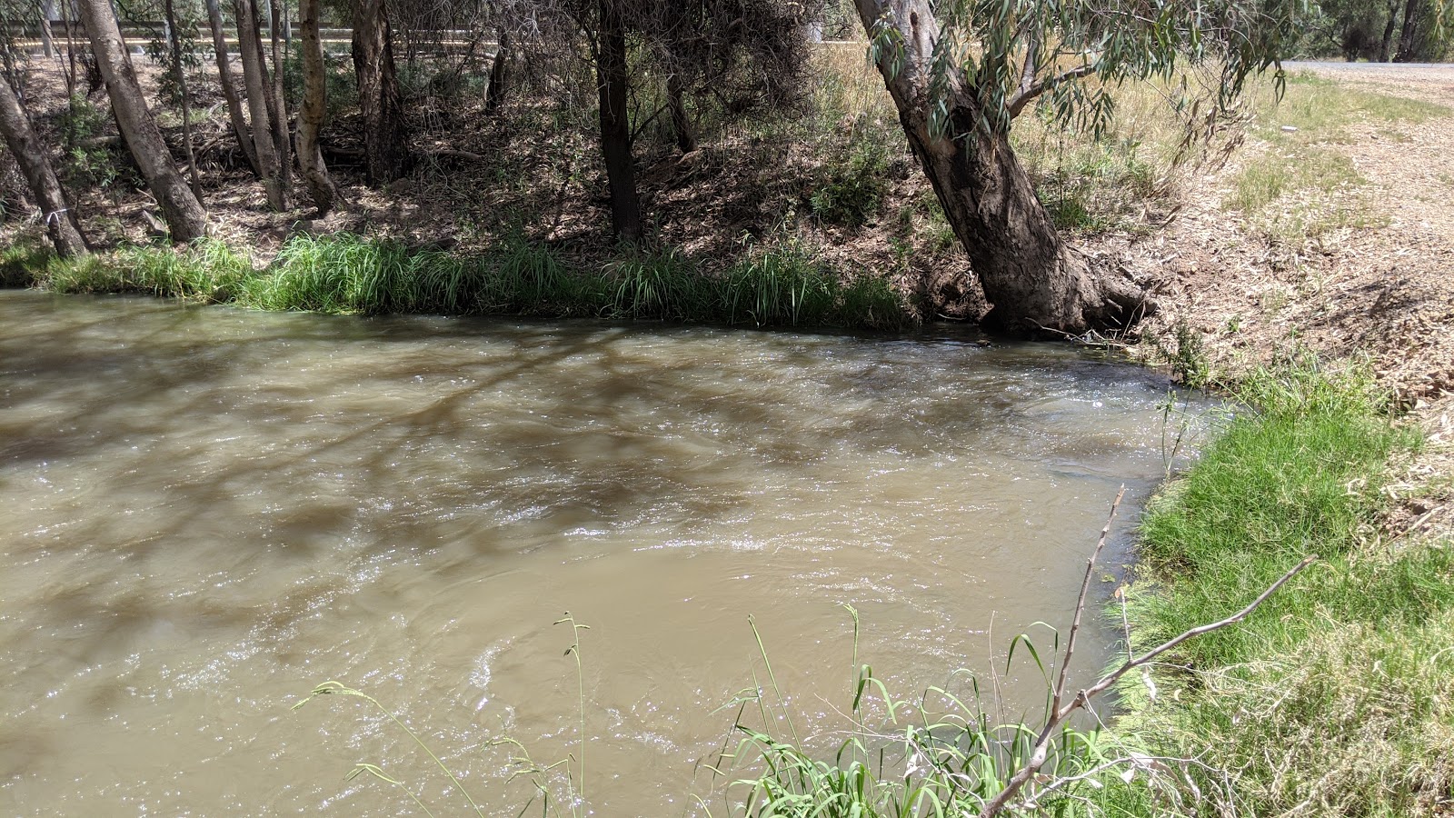 Wallaroi Creek Rest Area 2
