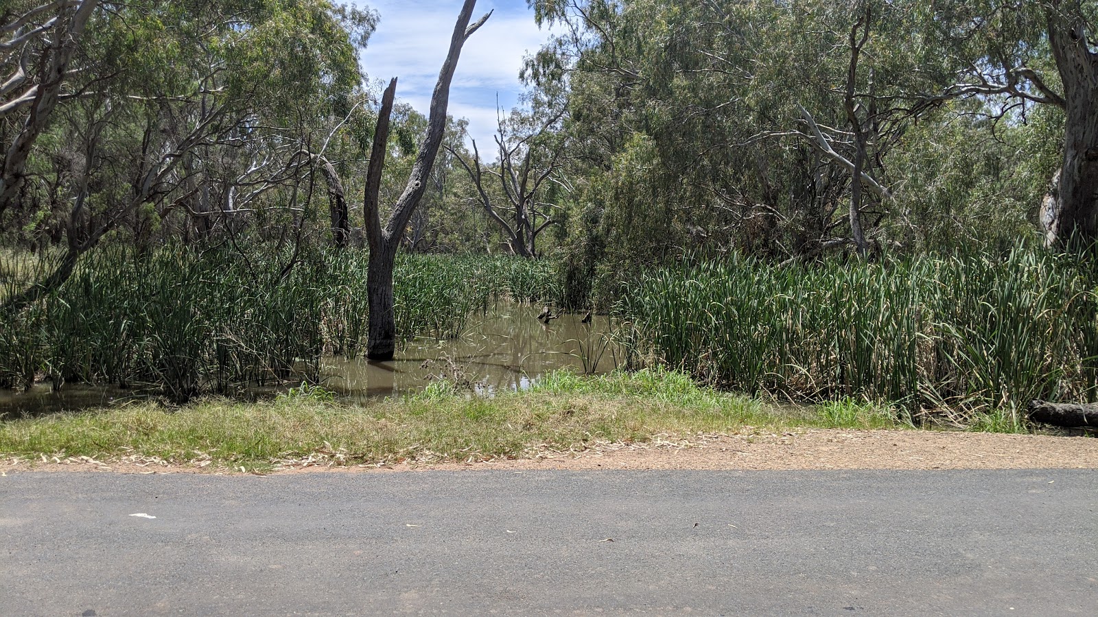 Wallaroi Creek Rest Area 3