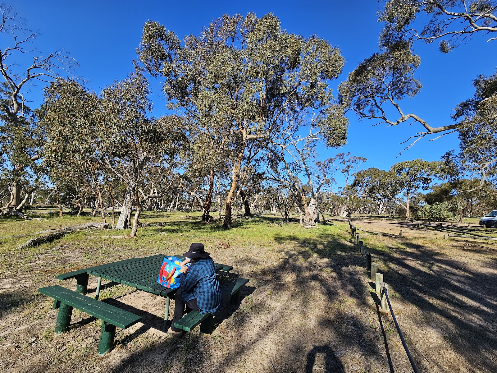 Mount Monster Conservation Park 2