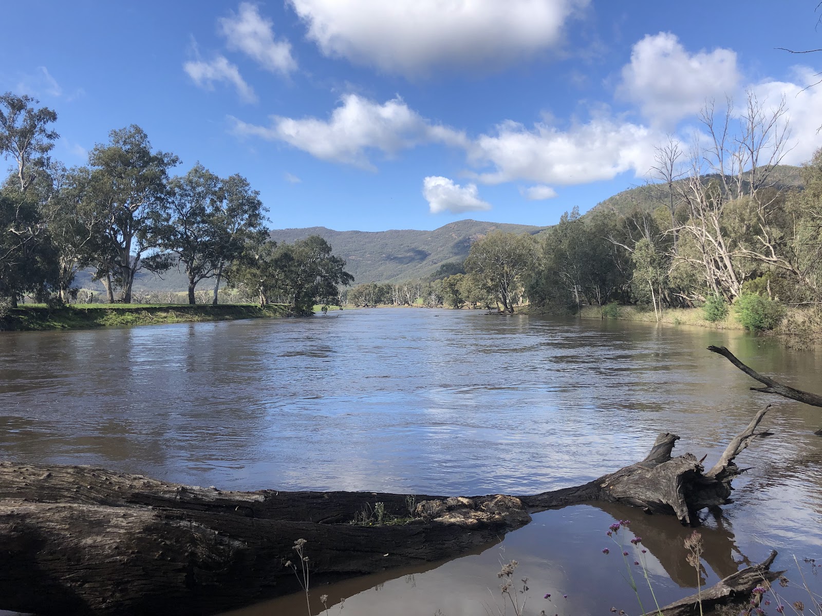Kennedys Reserve 5