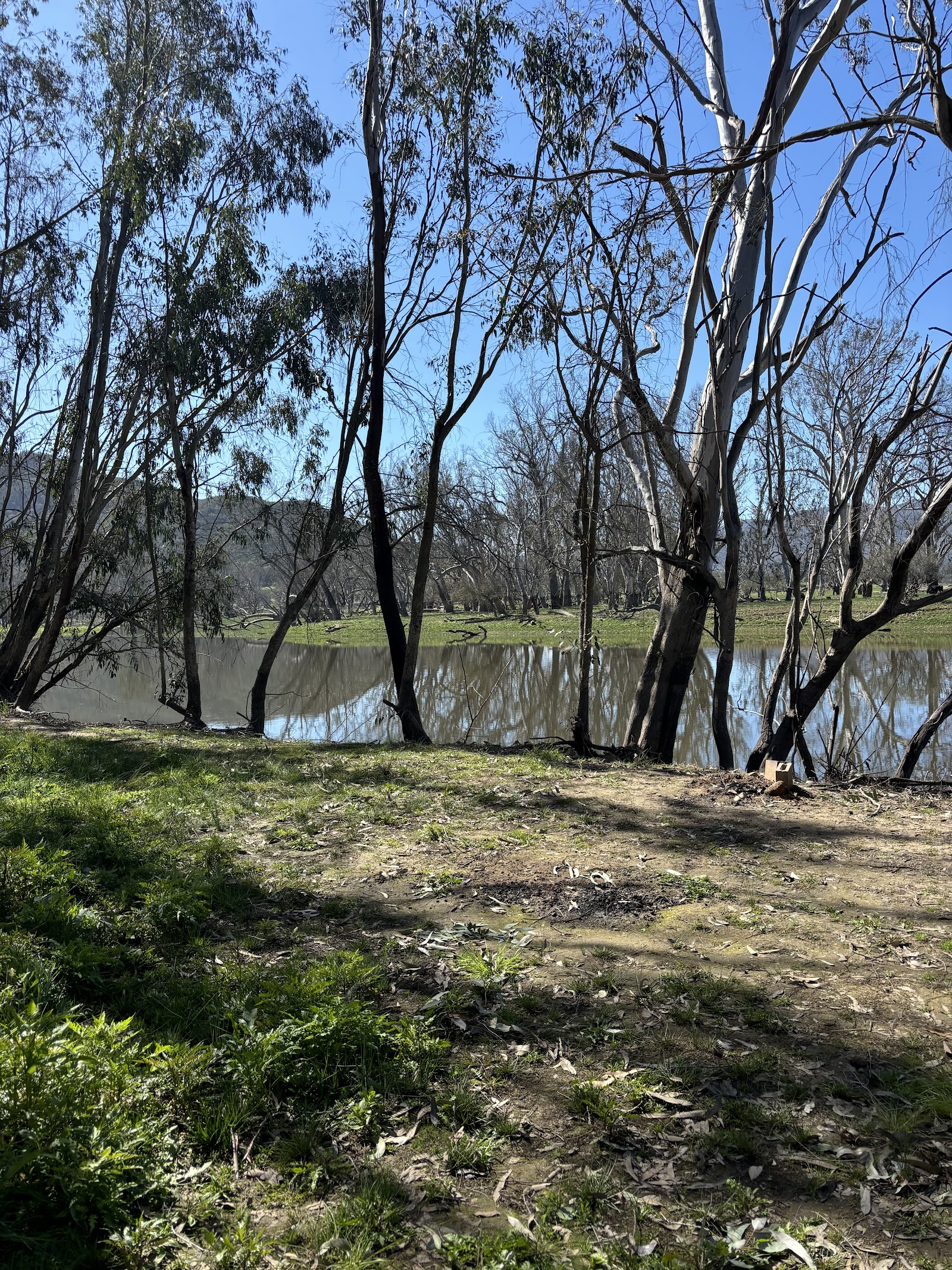 Kennedys Reserve 8