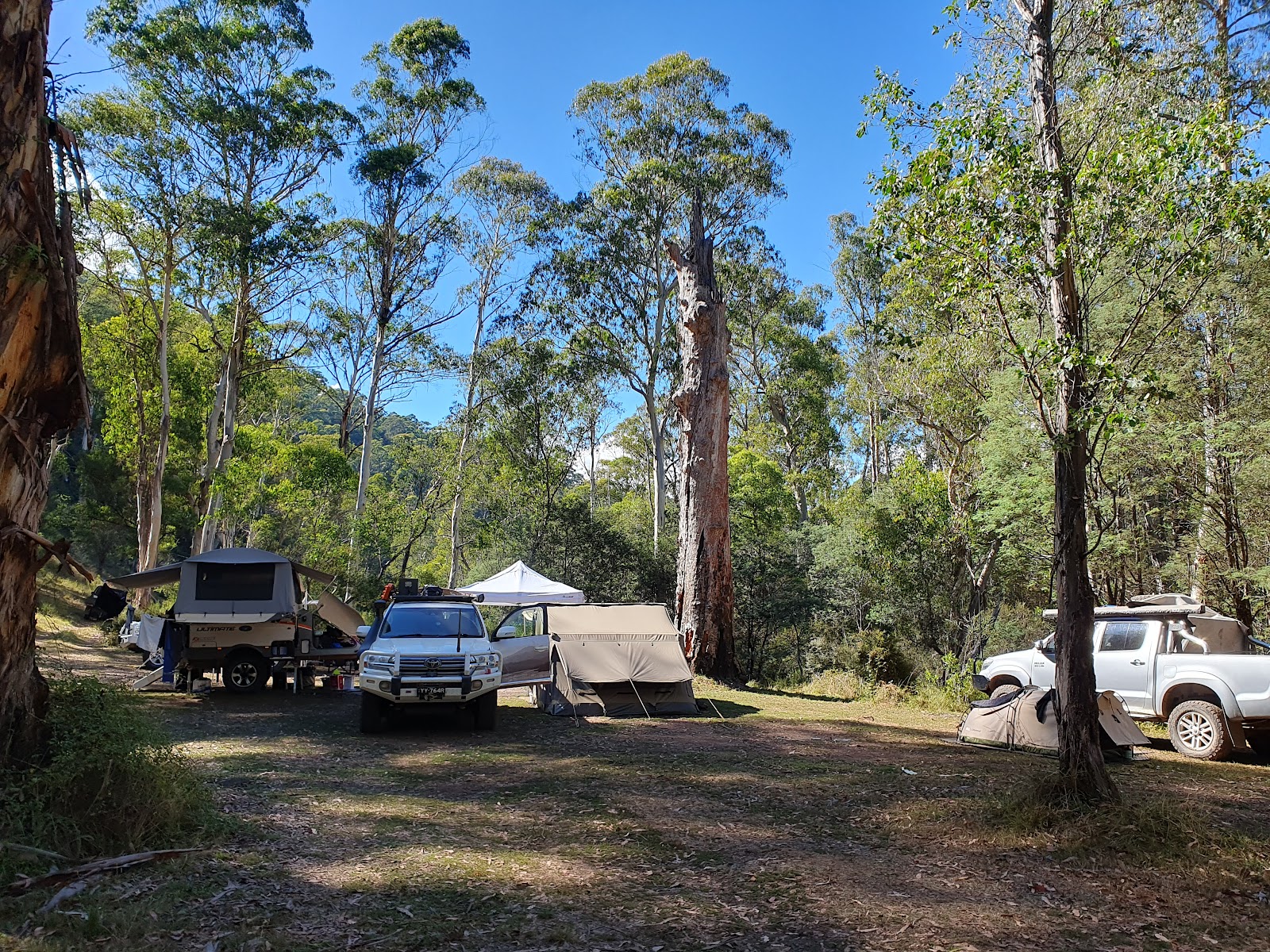 Pineapple Flat Camping Area - Alpine NP 7