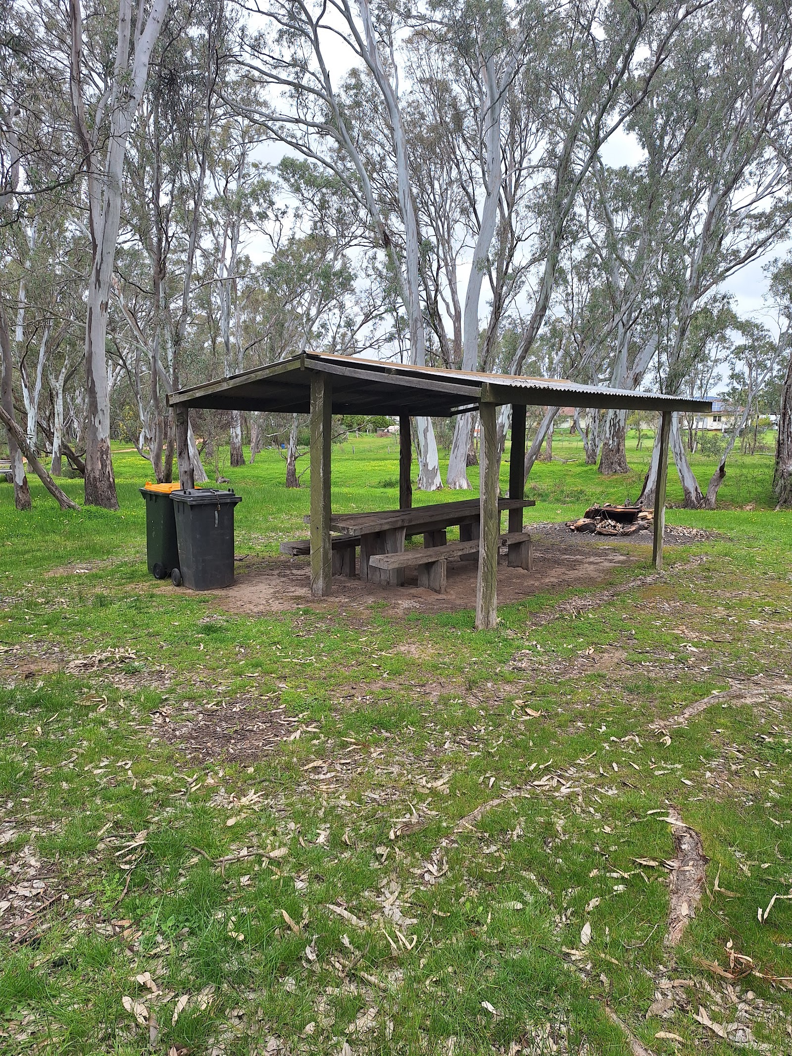 Mountain Creek Picnic Area 2
