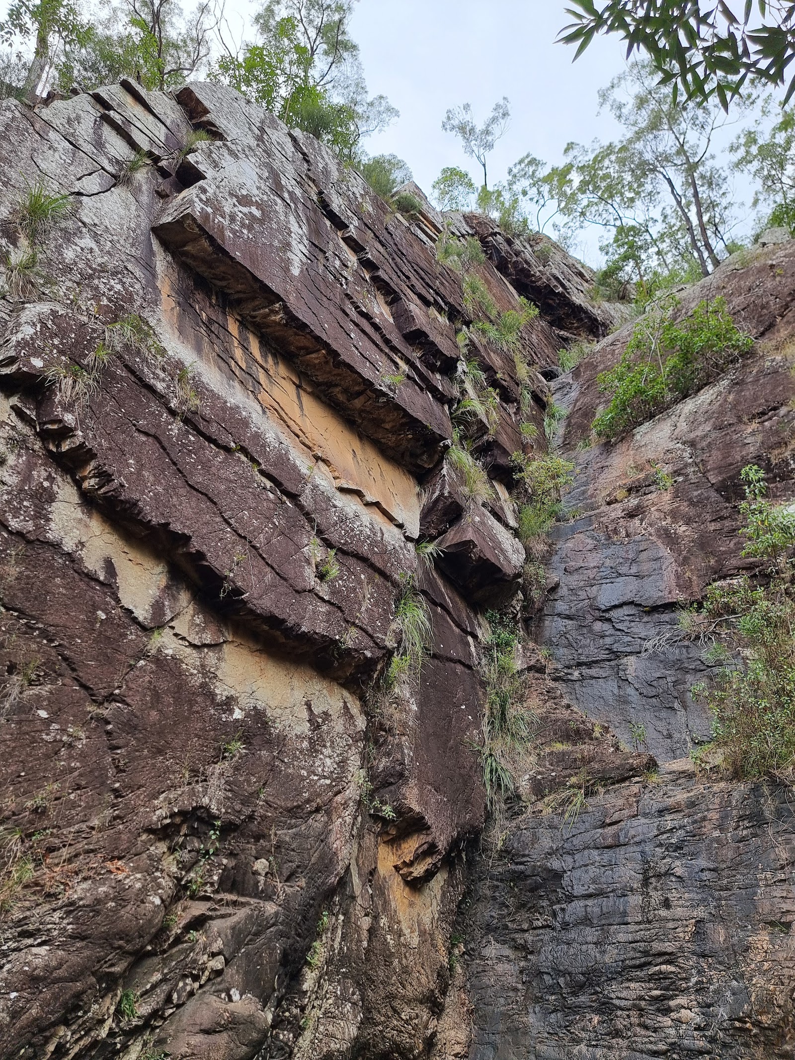 Waterfall Creek Reserve 3