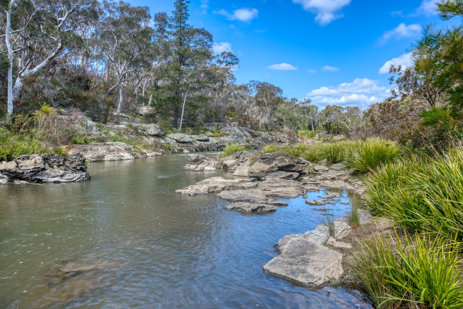 Berrima Reserve 2