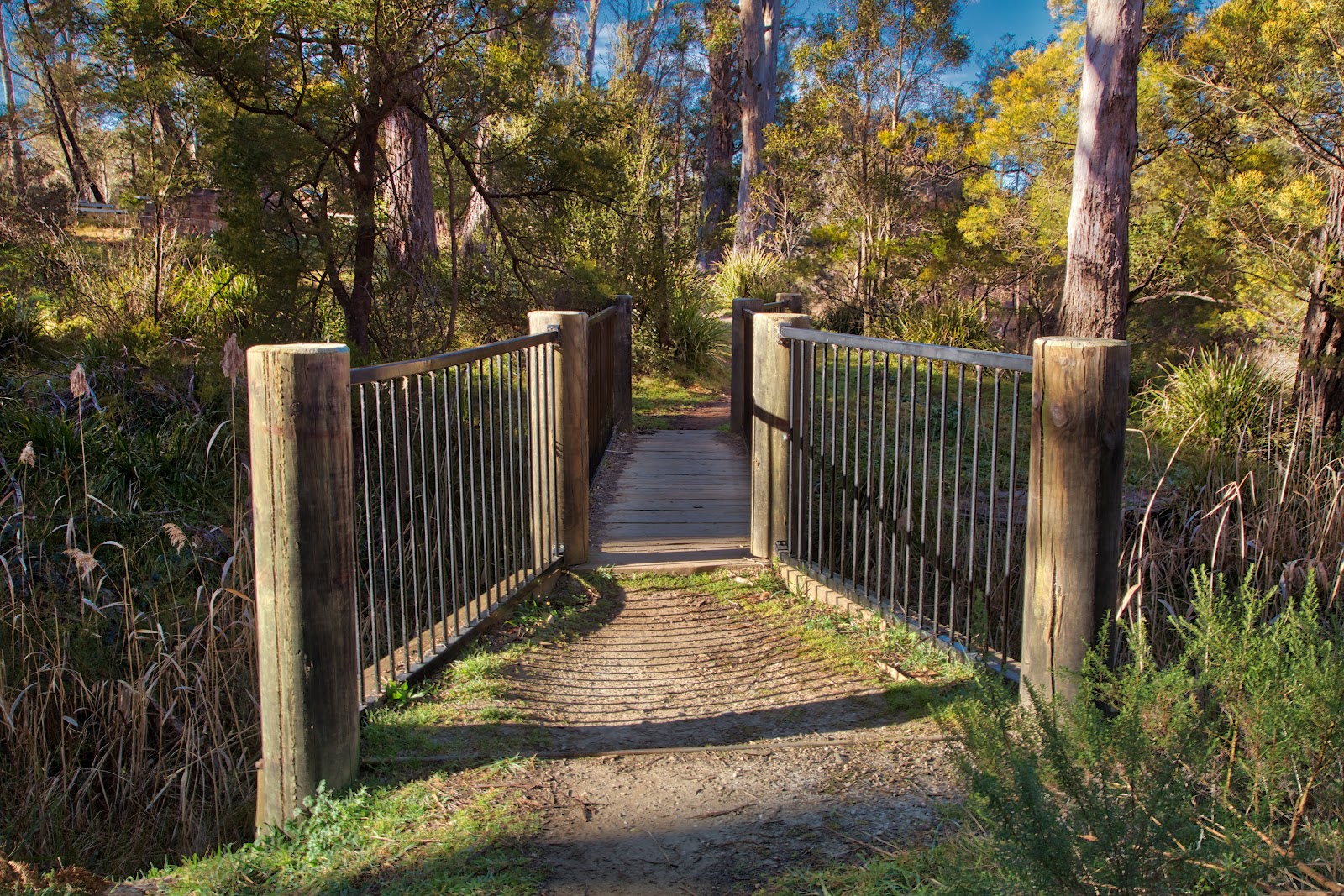 Berrima Reserve 6