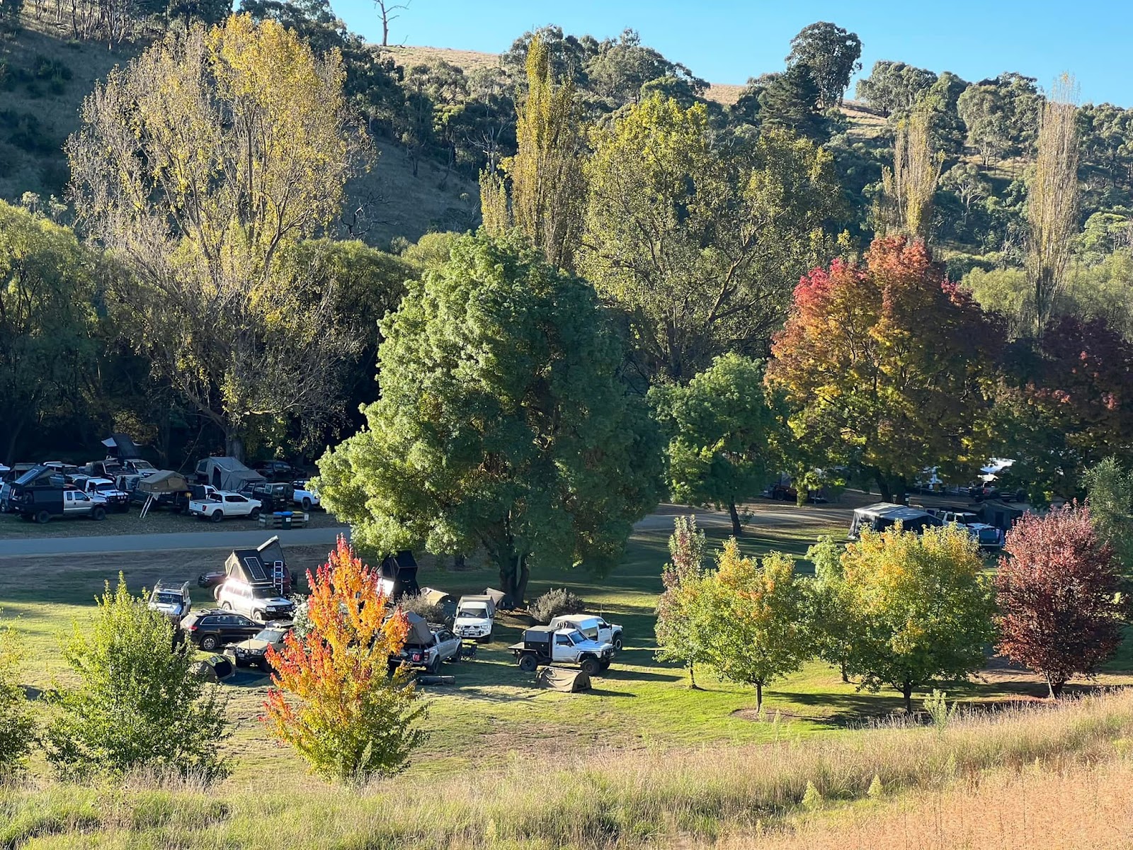 Omeo Holiday Park 2
