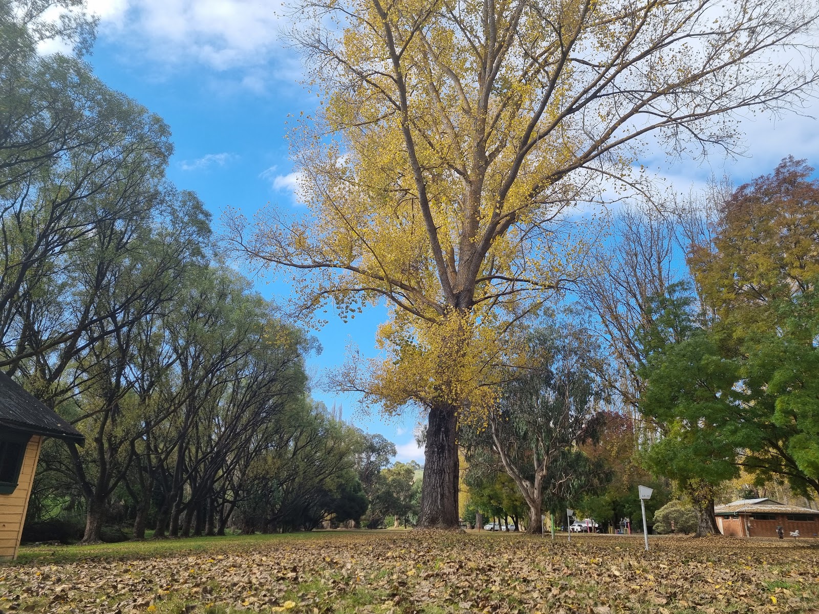 Omeo Holiday Park 3