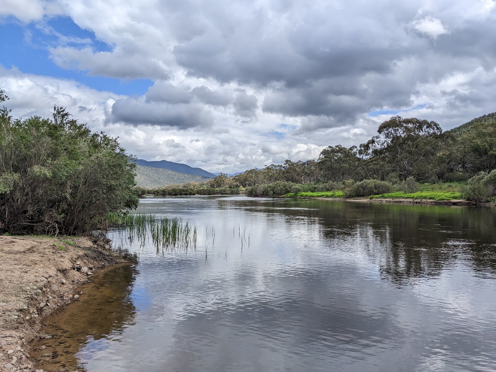 Willis Campground 5