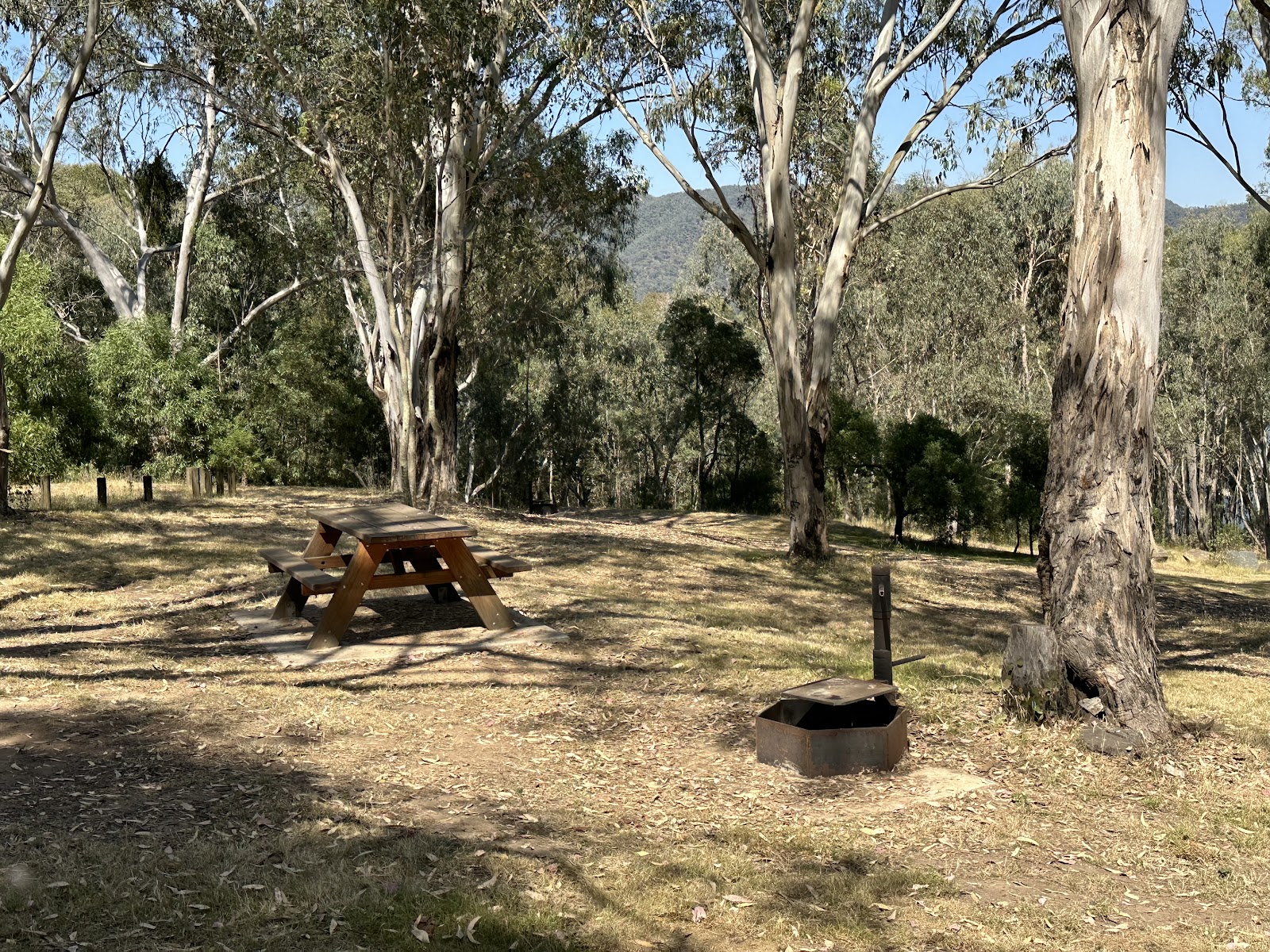 Log Bridge Creek Campground 2