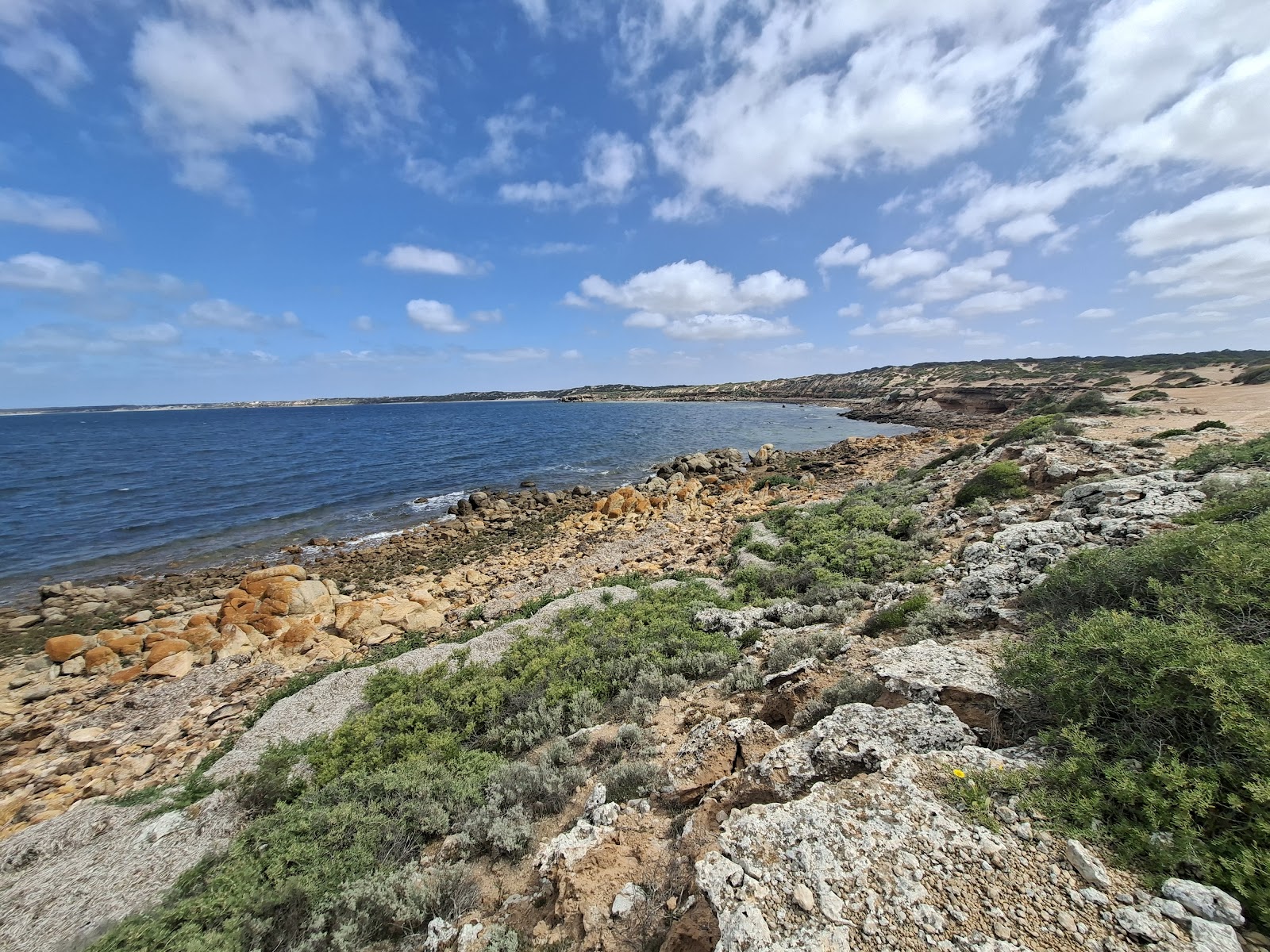Wittelbee Conservation Park 2