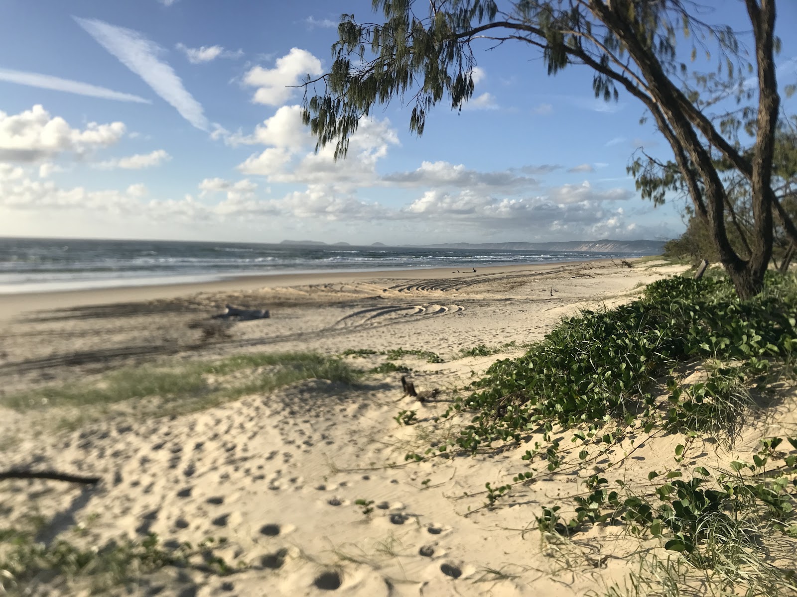 Inskip Peninsula Recreation Area 2