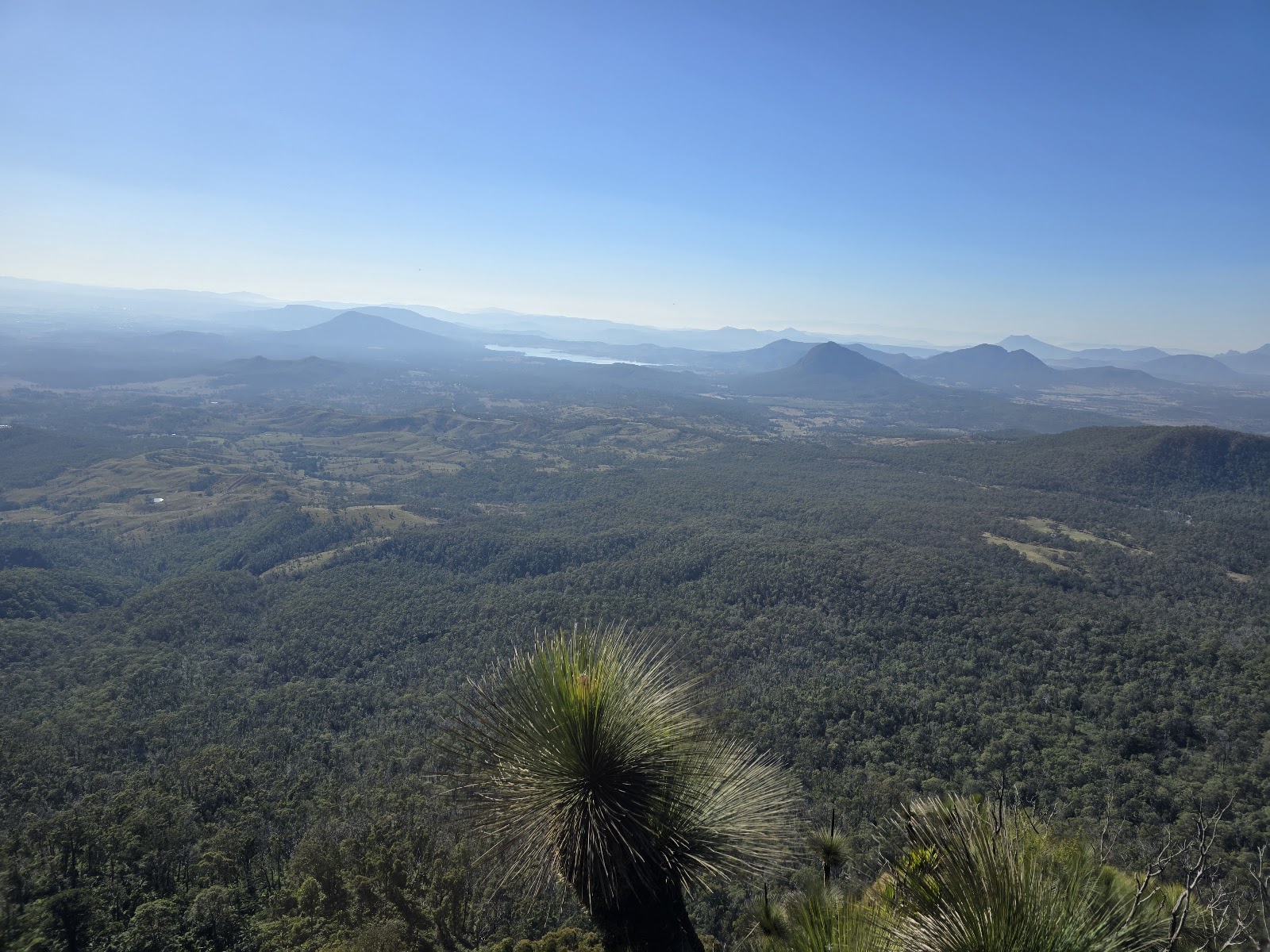 Cunninghams Gap Picnic Area 3