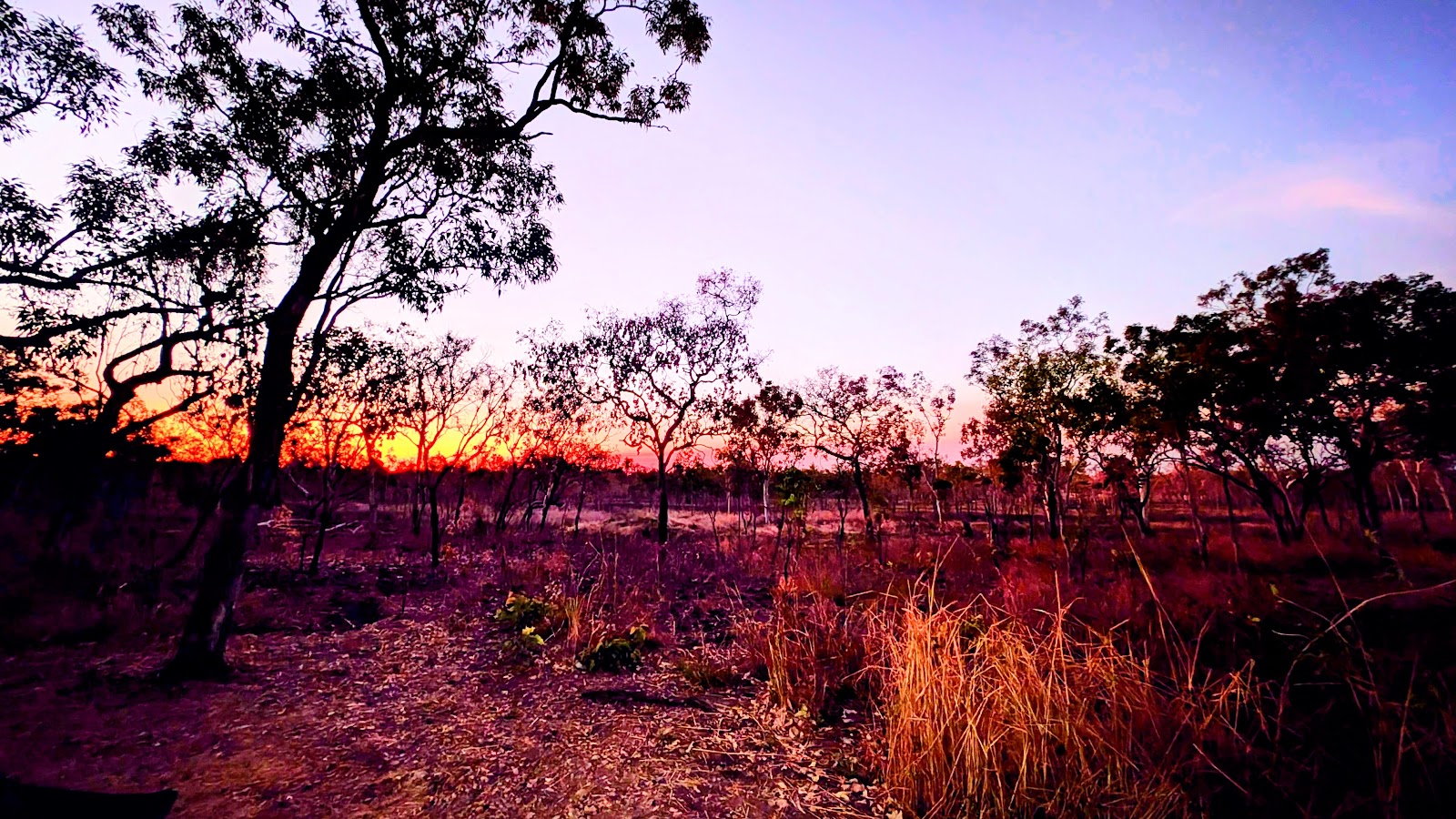 Gungurul Campground 2