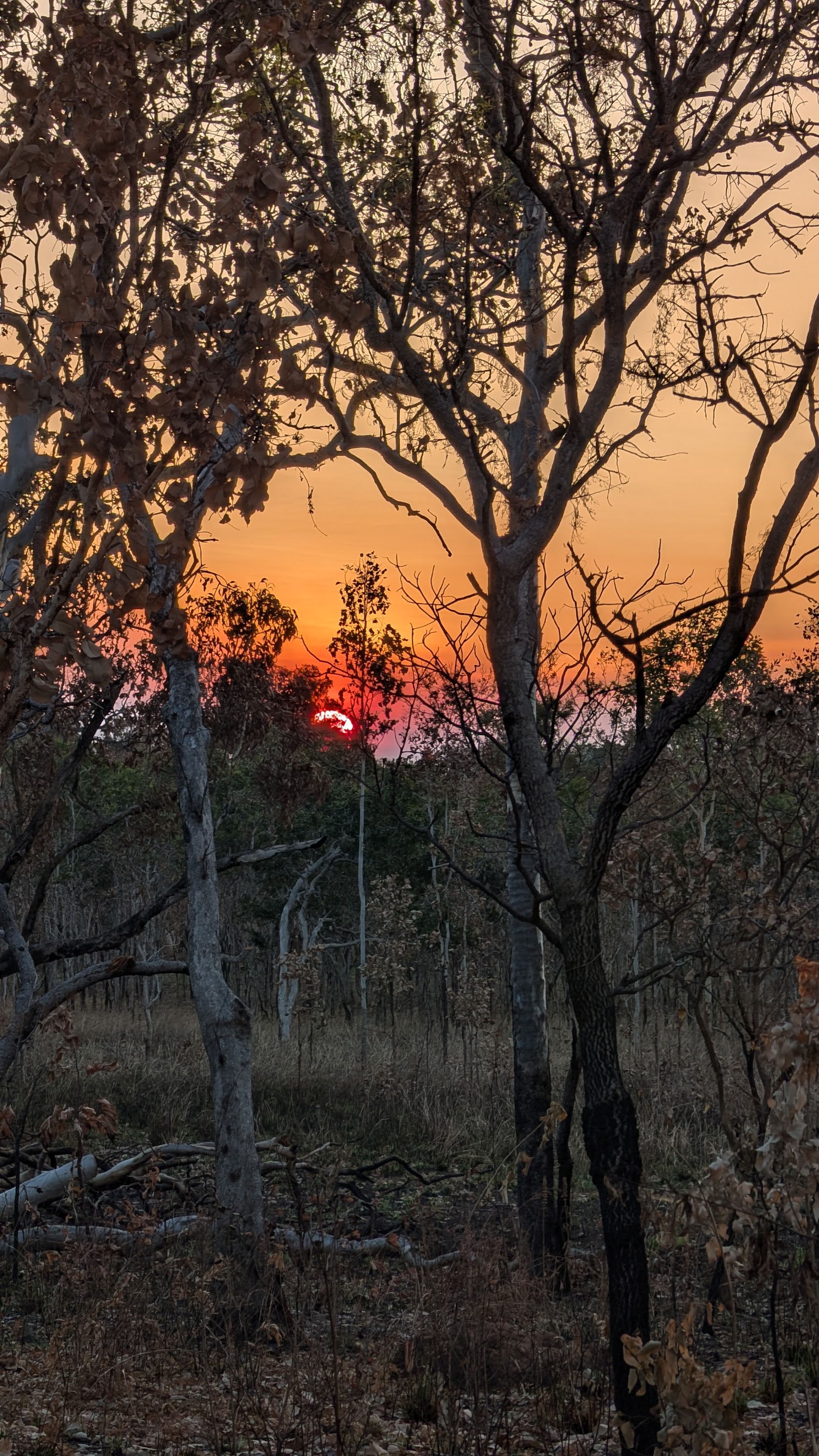 Gungurul Campground 3