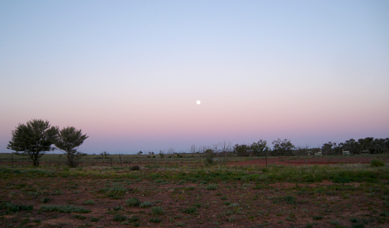 Mount Wood Campground 2