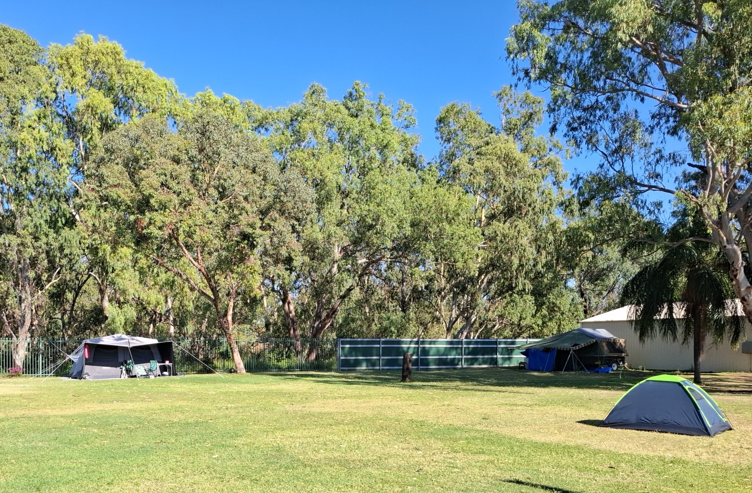 Moree Showgrounds 2