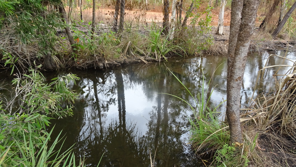 Rocky Bottom Creek 2