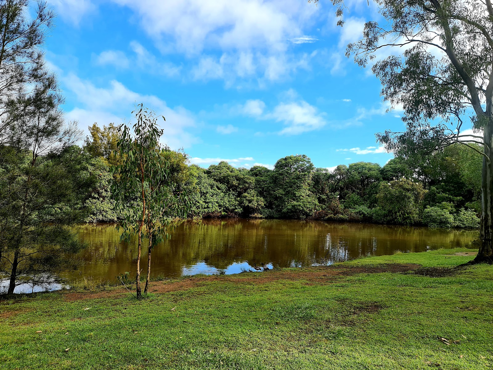 Hugh Muntz Park 3