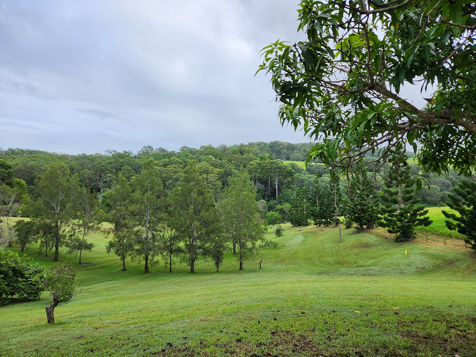 Koolewong Par 3 Golf Course 2