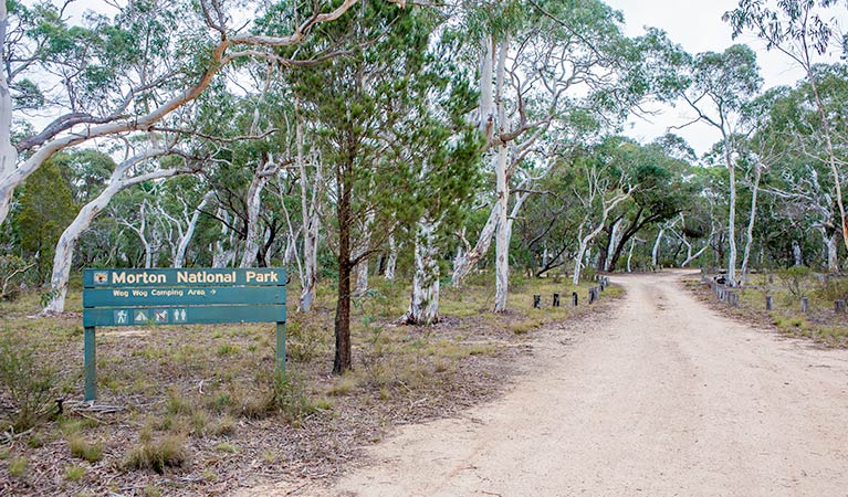 Wog Wog Campground 3