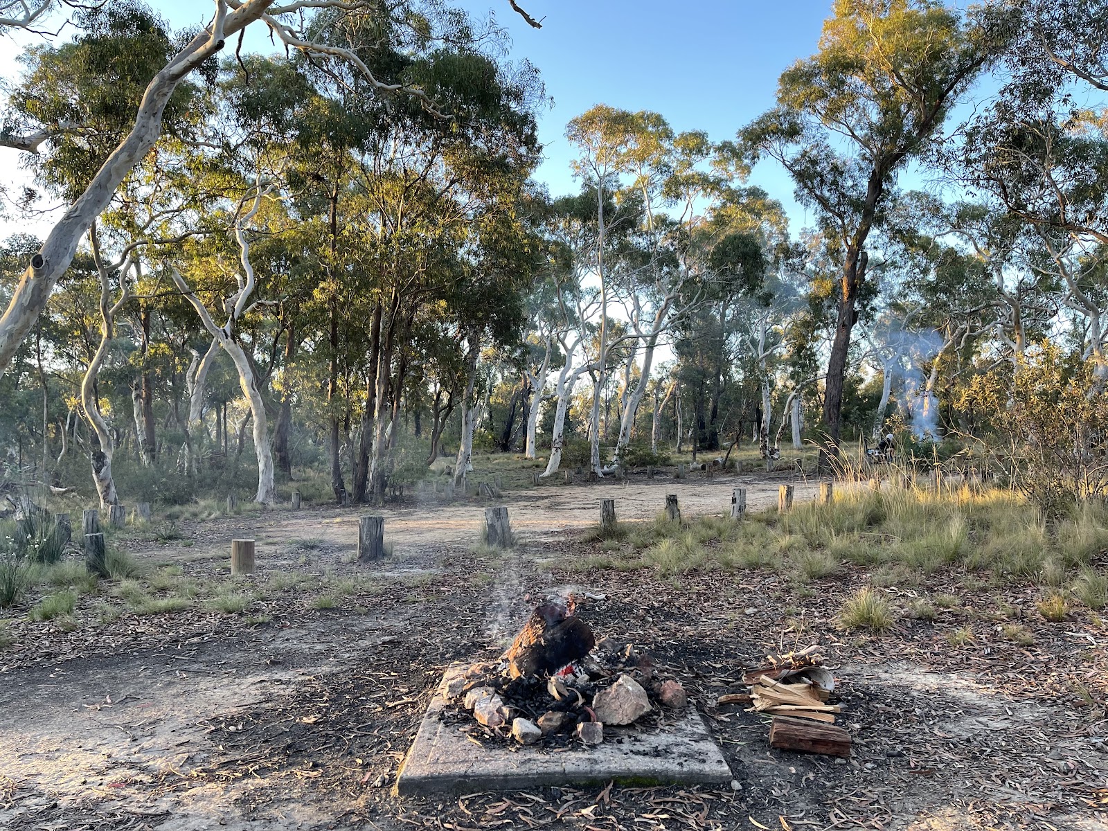 Wog Wog Campground 6