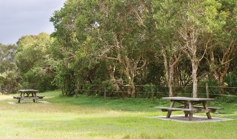 Red Cliff Campground 3
