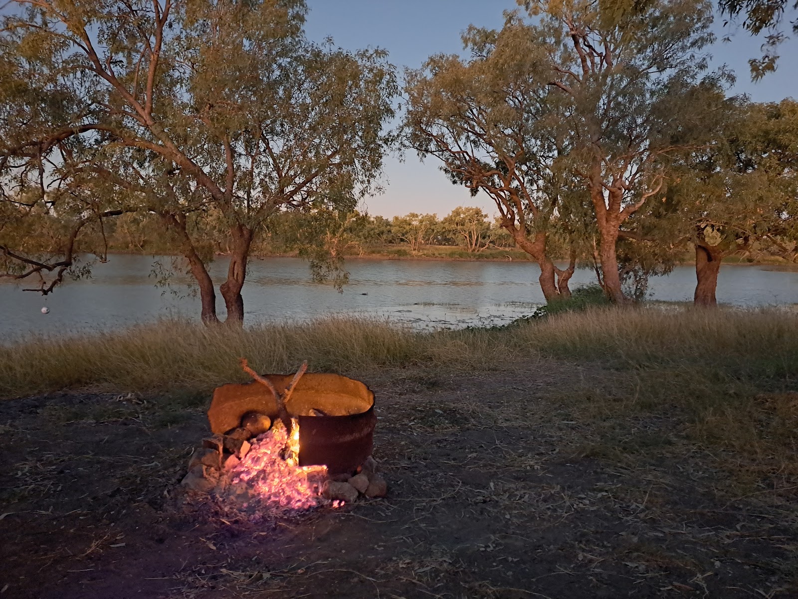 Camooweal Billabong 2