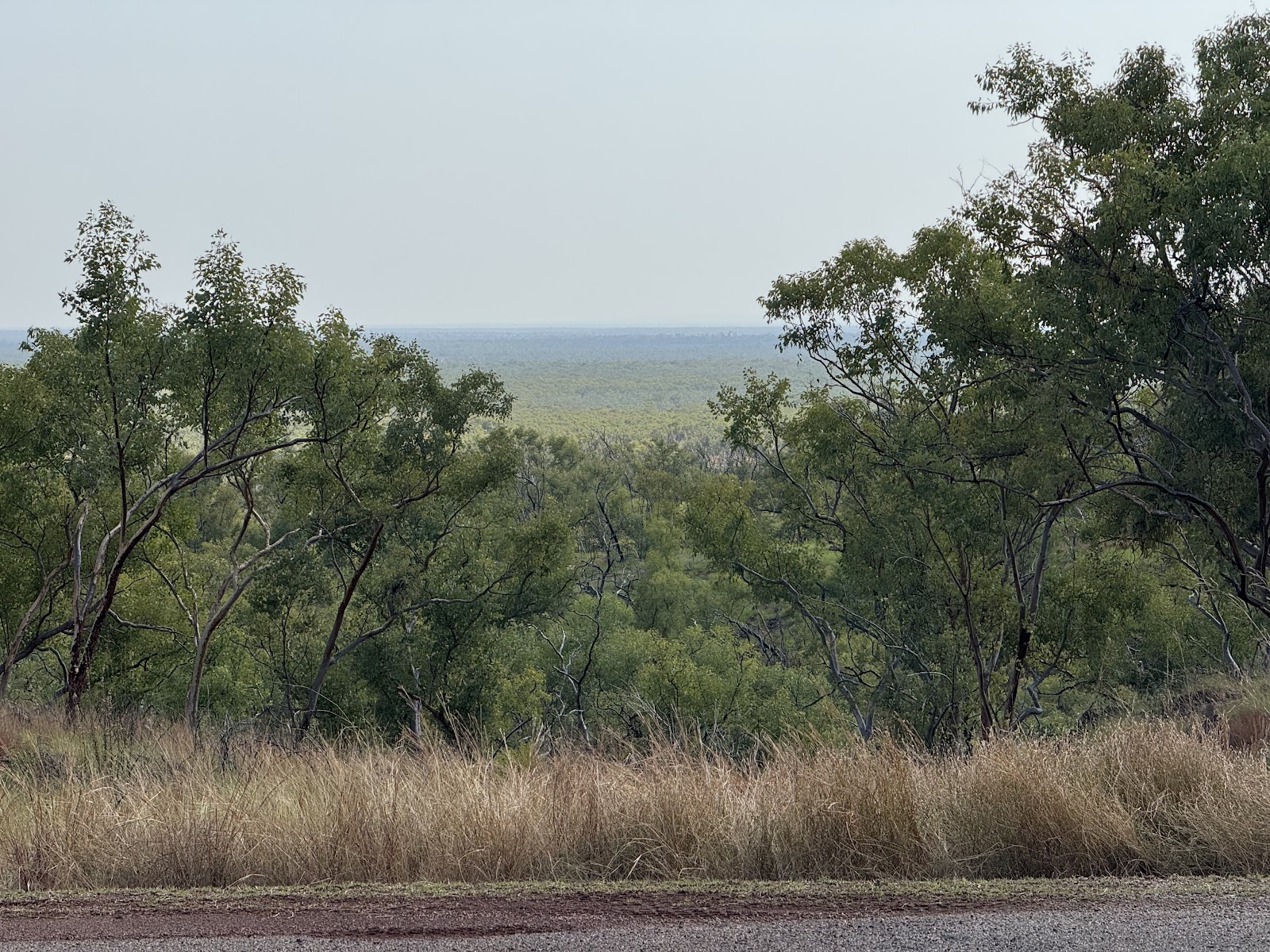 Goanna Creek Rest Area 3