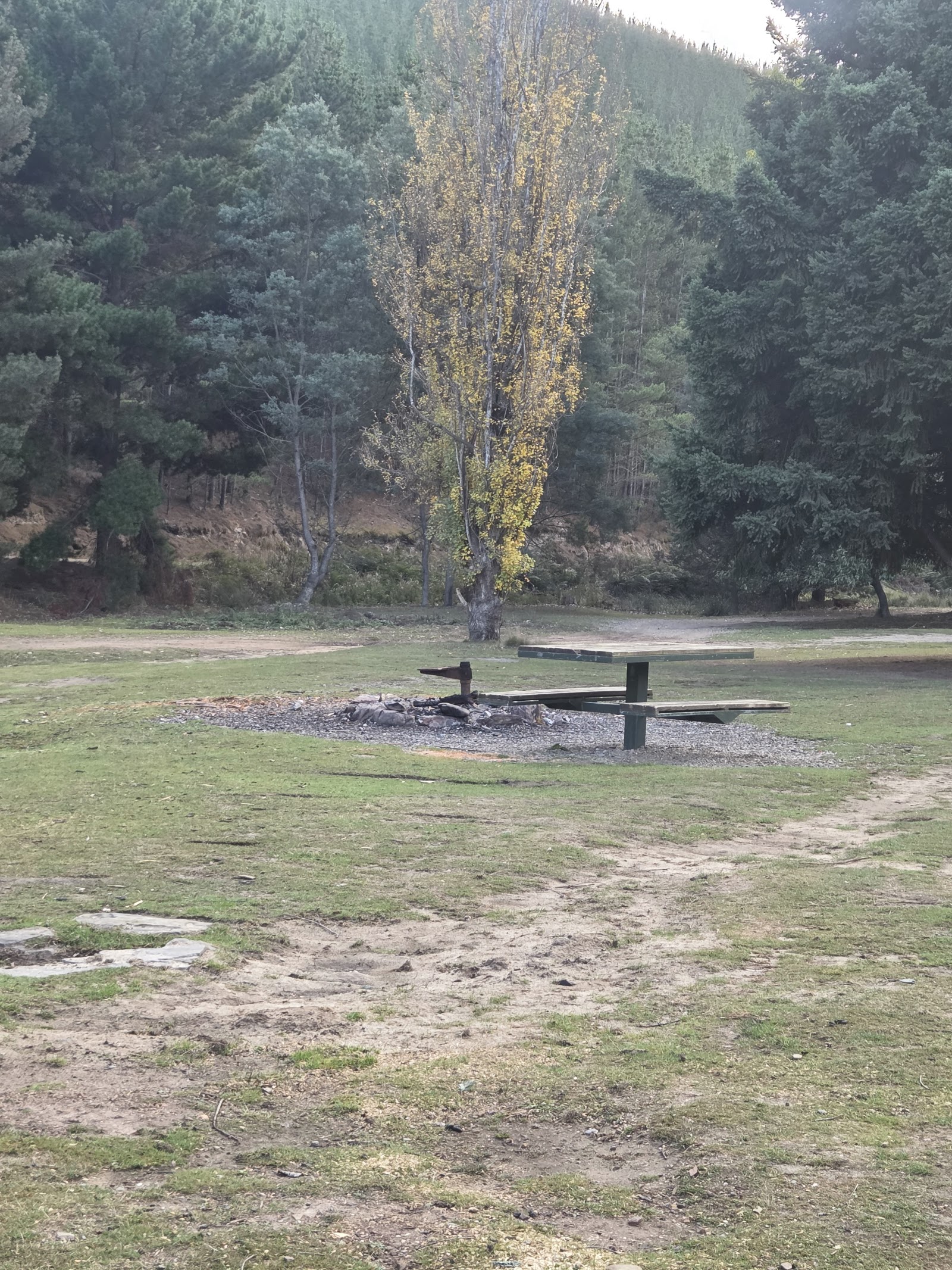 Griffin Park 3