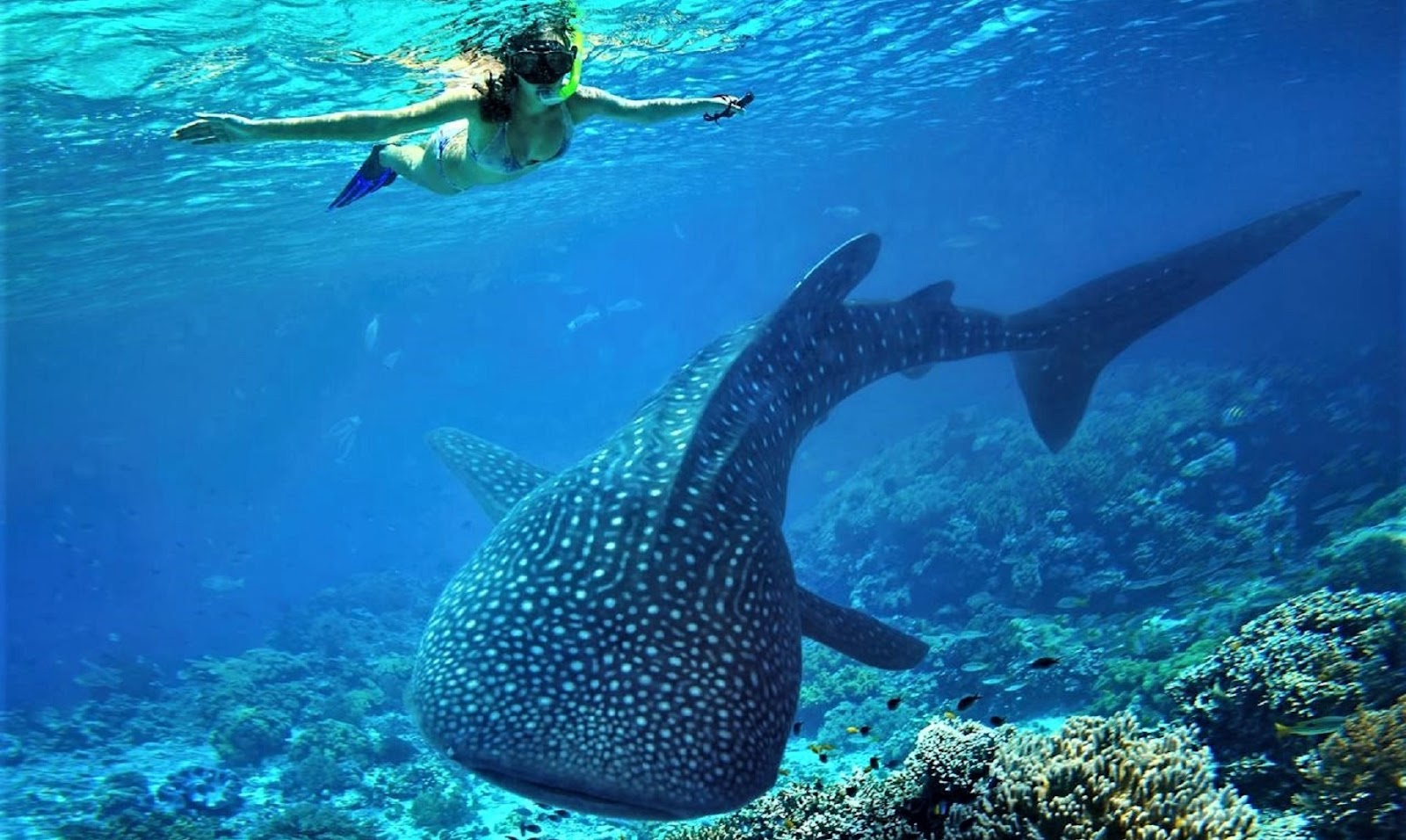 Ningaloo Coast 2