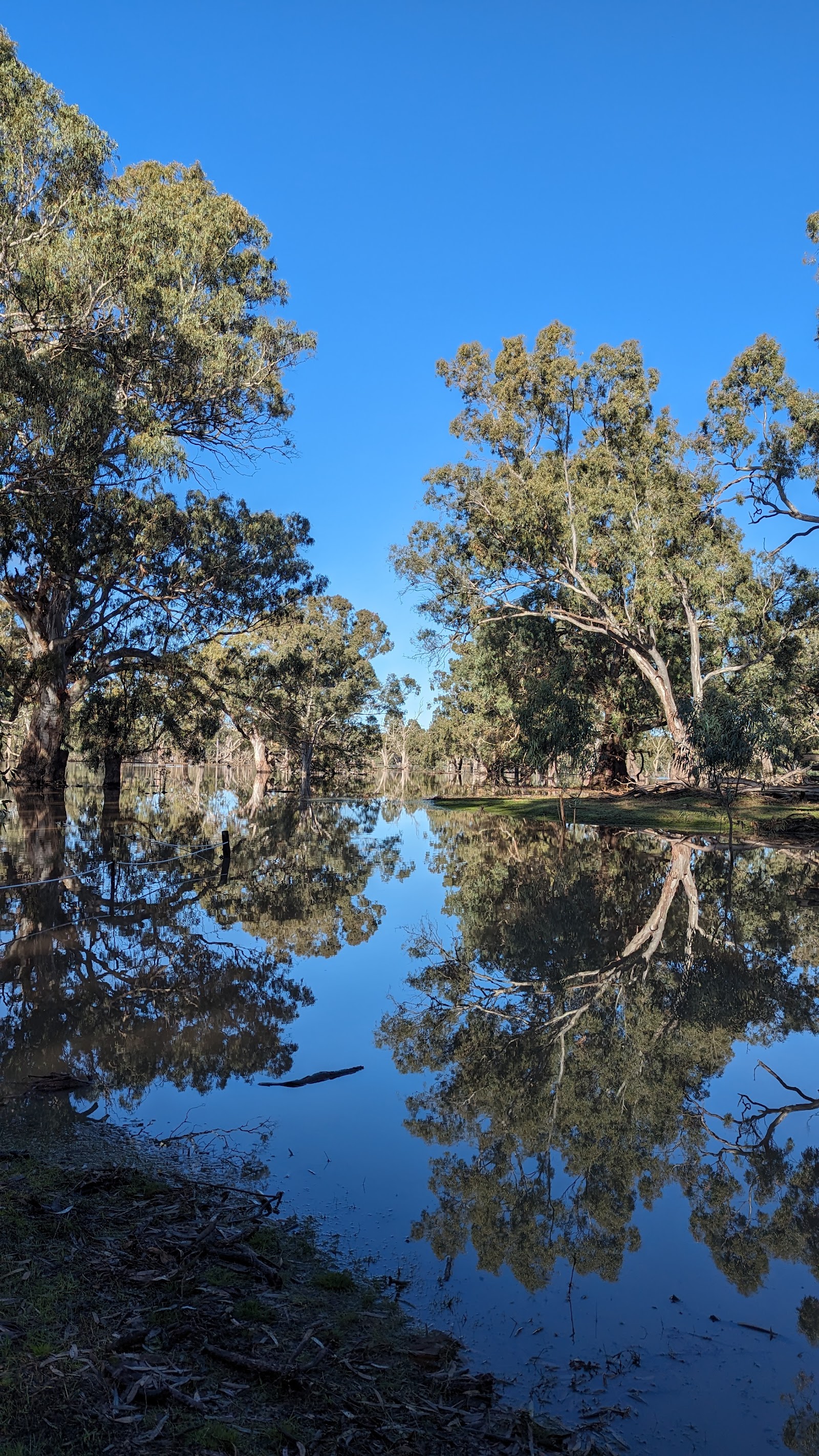 Poocher Swamp Rest Area 3