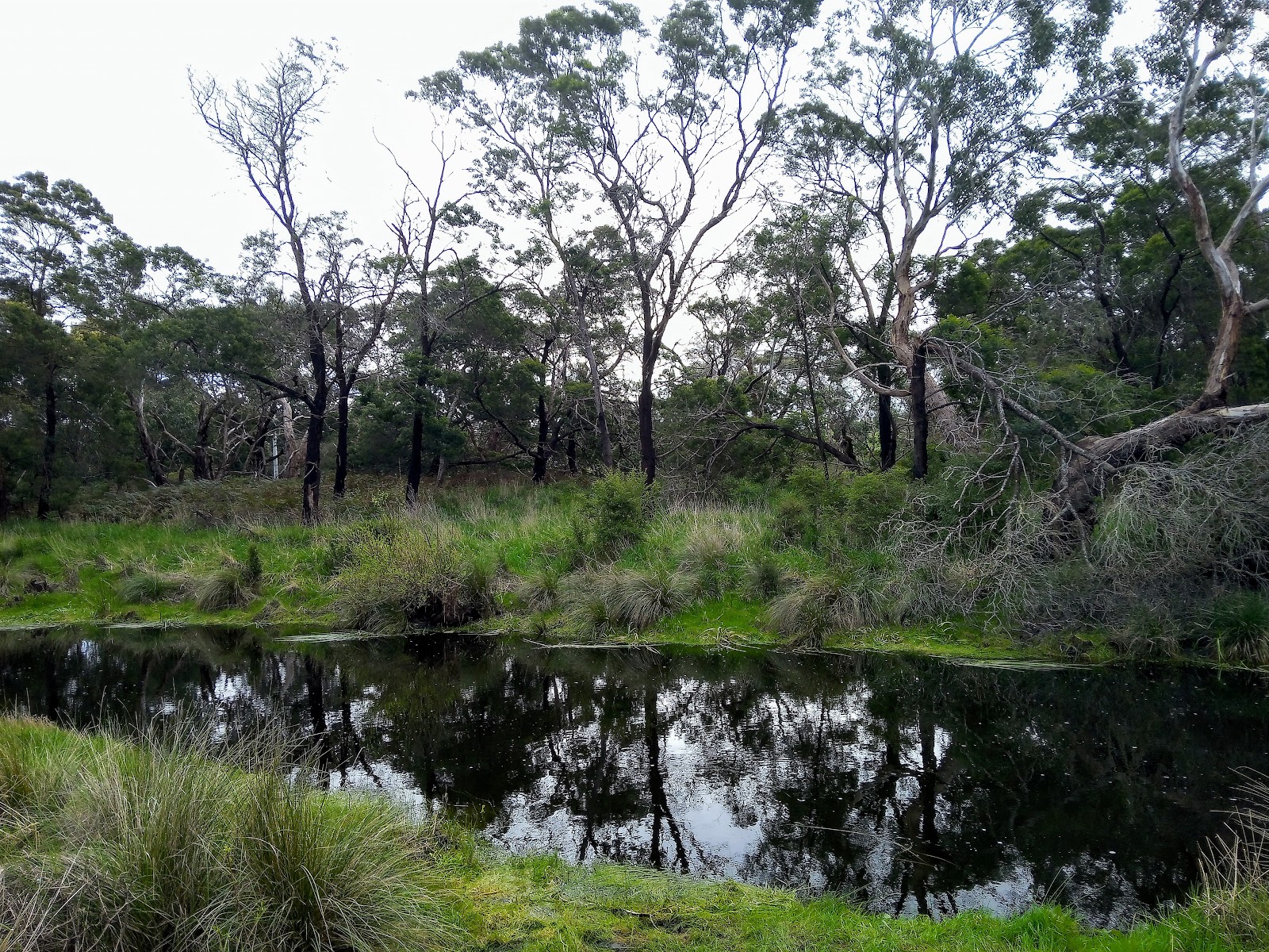 Fitzroy River 5