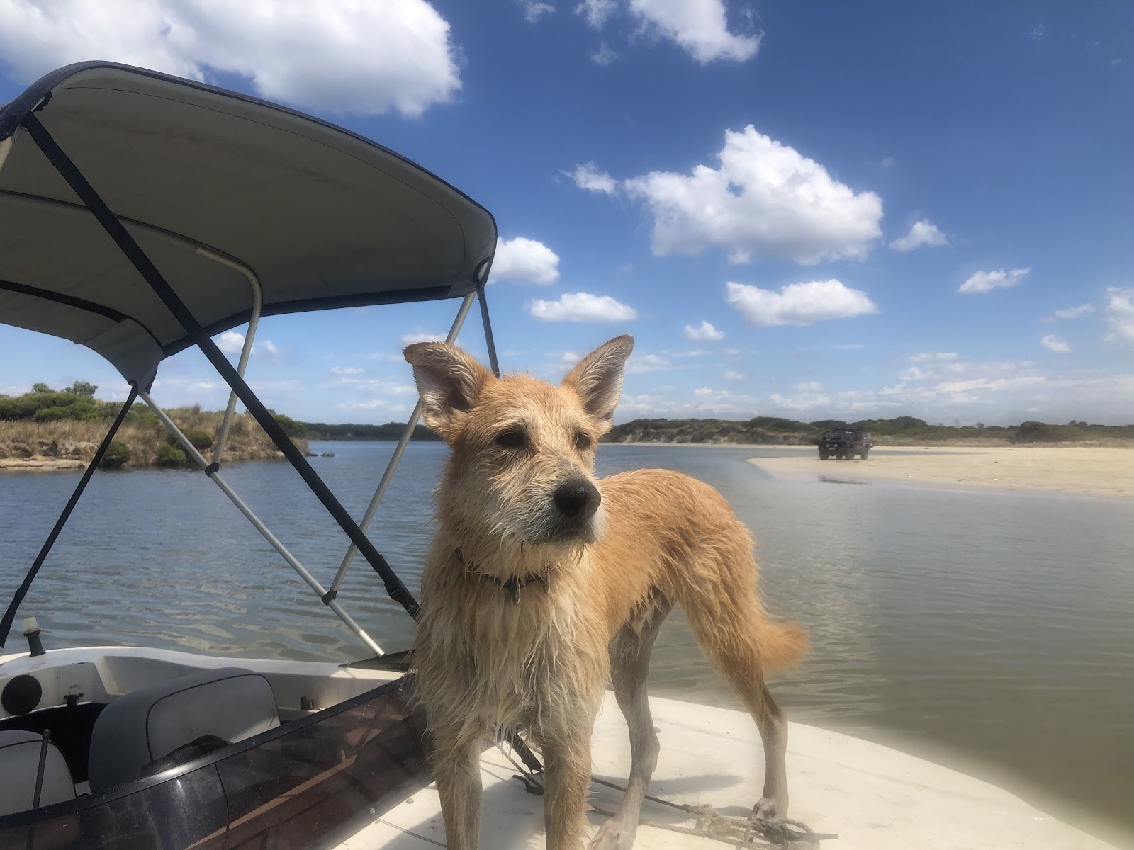 Fitzroy River 4