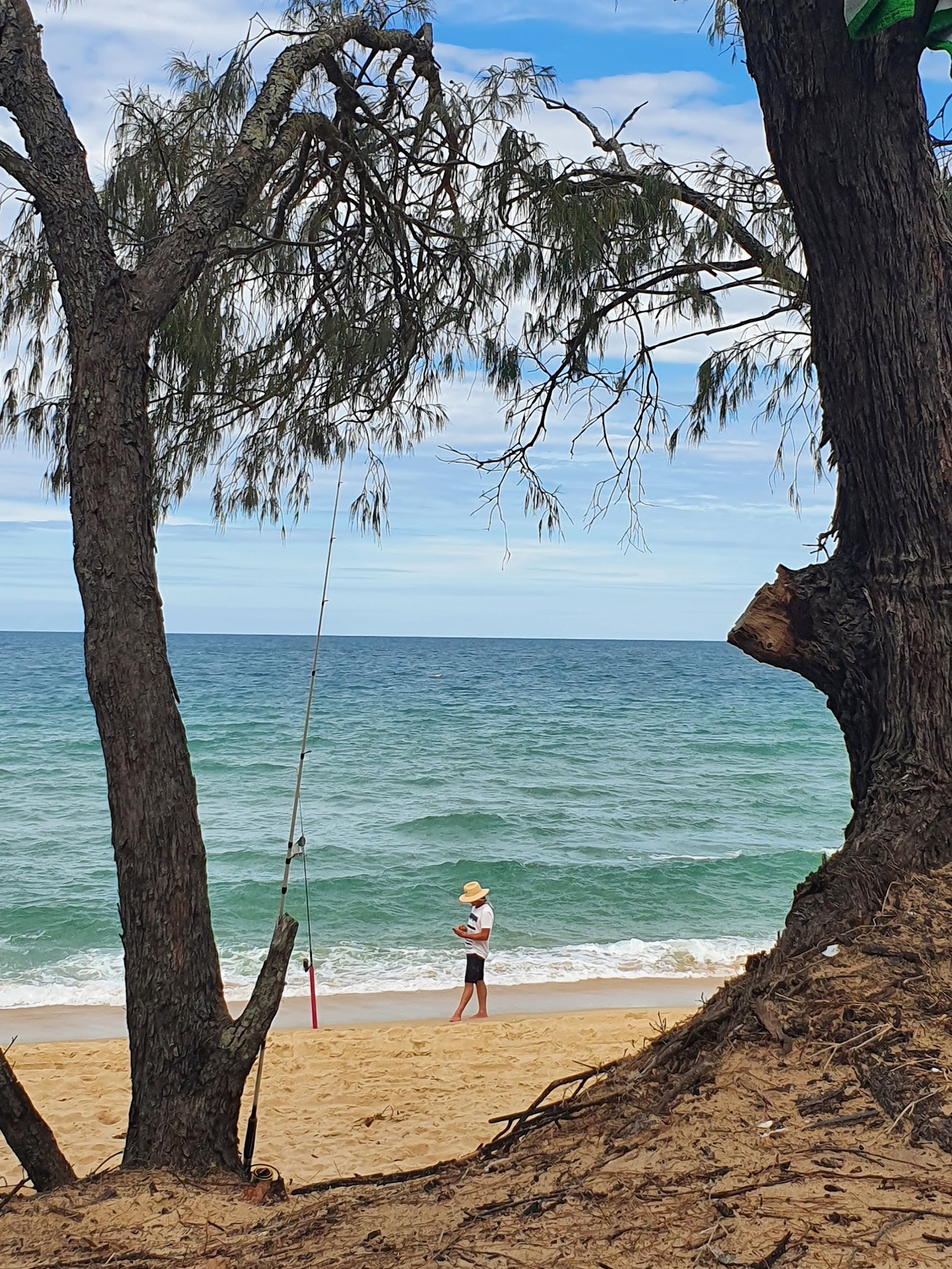 Kinkuna camping zone, Burrum Coast National Park 2