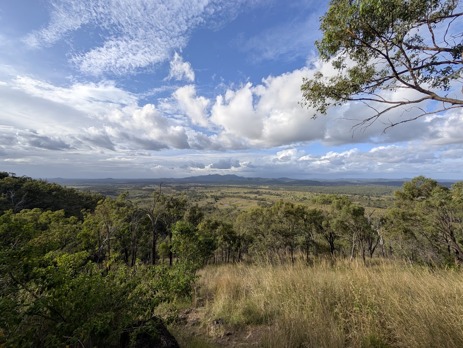 Mount Walsh National Park 3