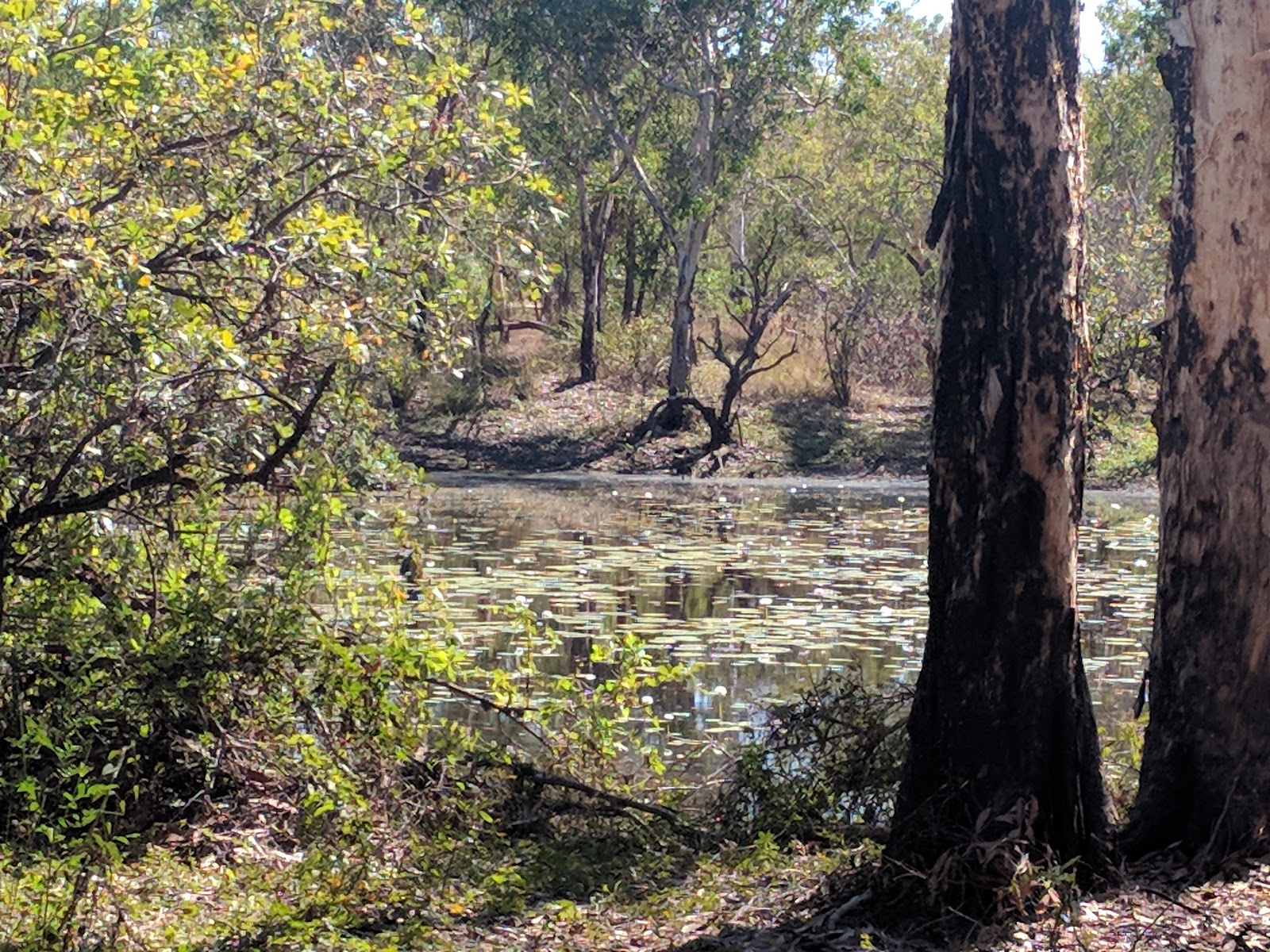 Malabanjbanjdju Campground 2