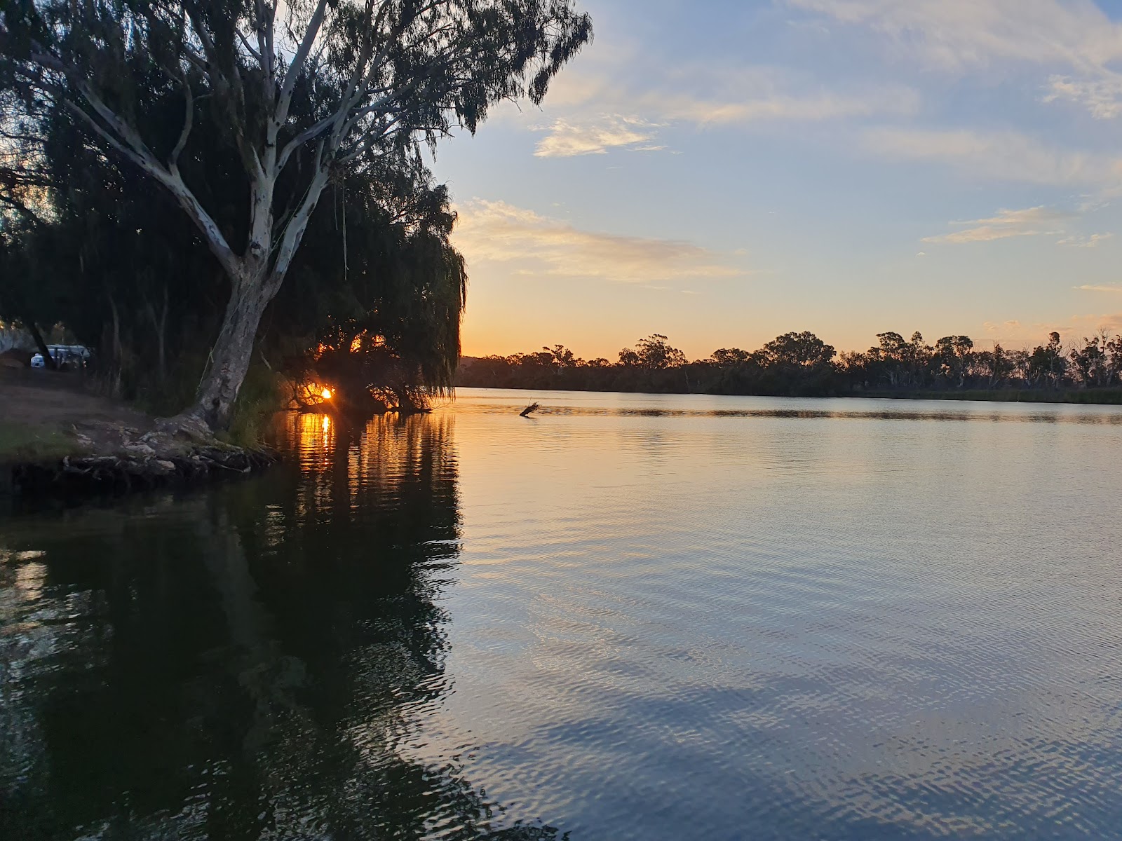 Swamp Hen Reserve 3