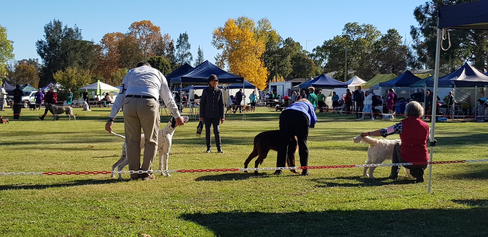 Cootamundra Showground 2