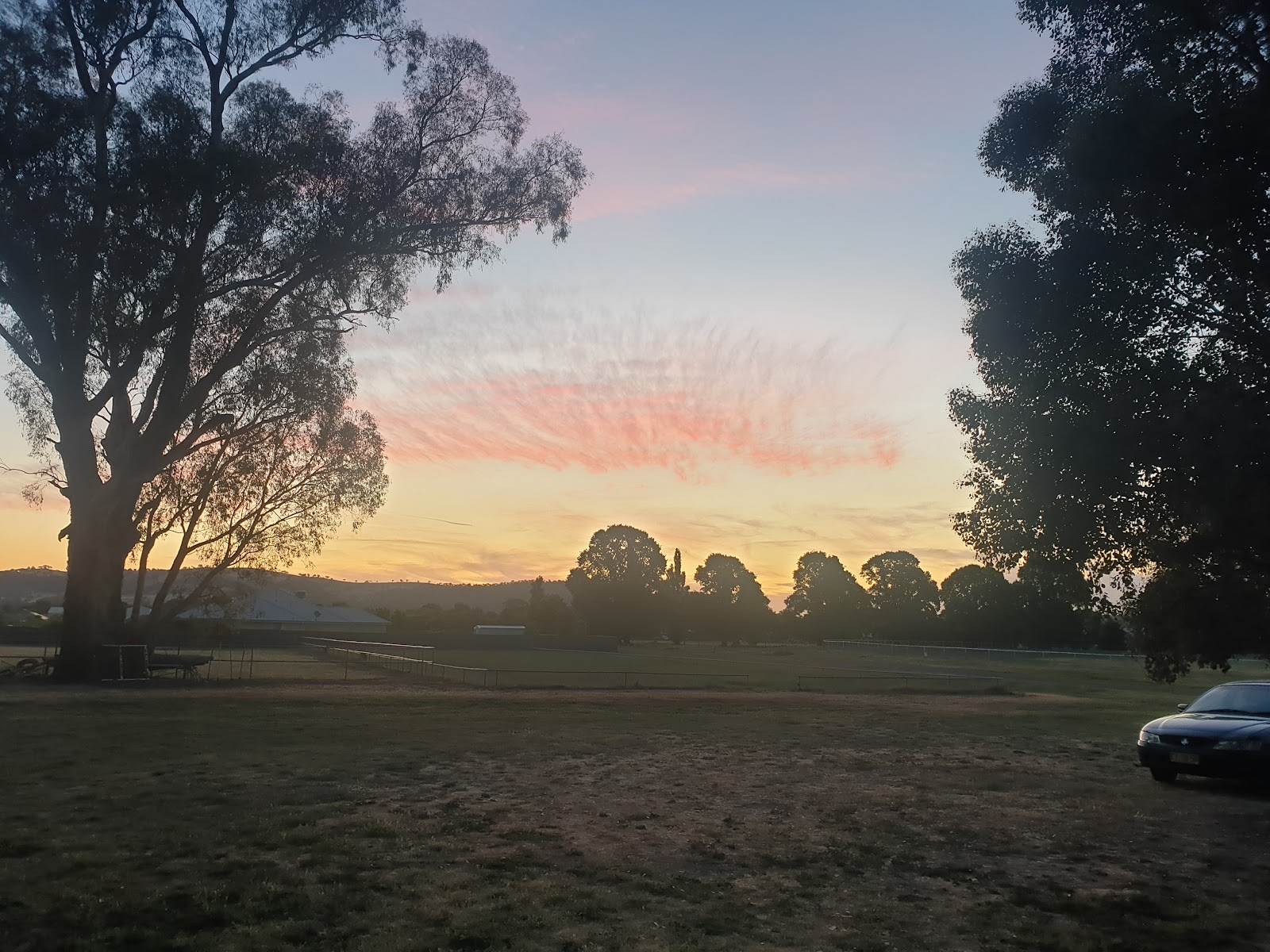 Cootamundra Showground 3