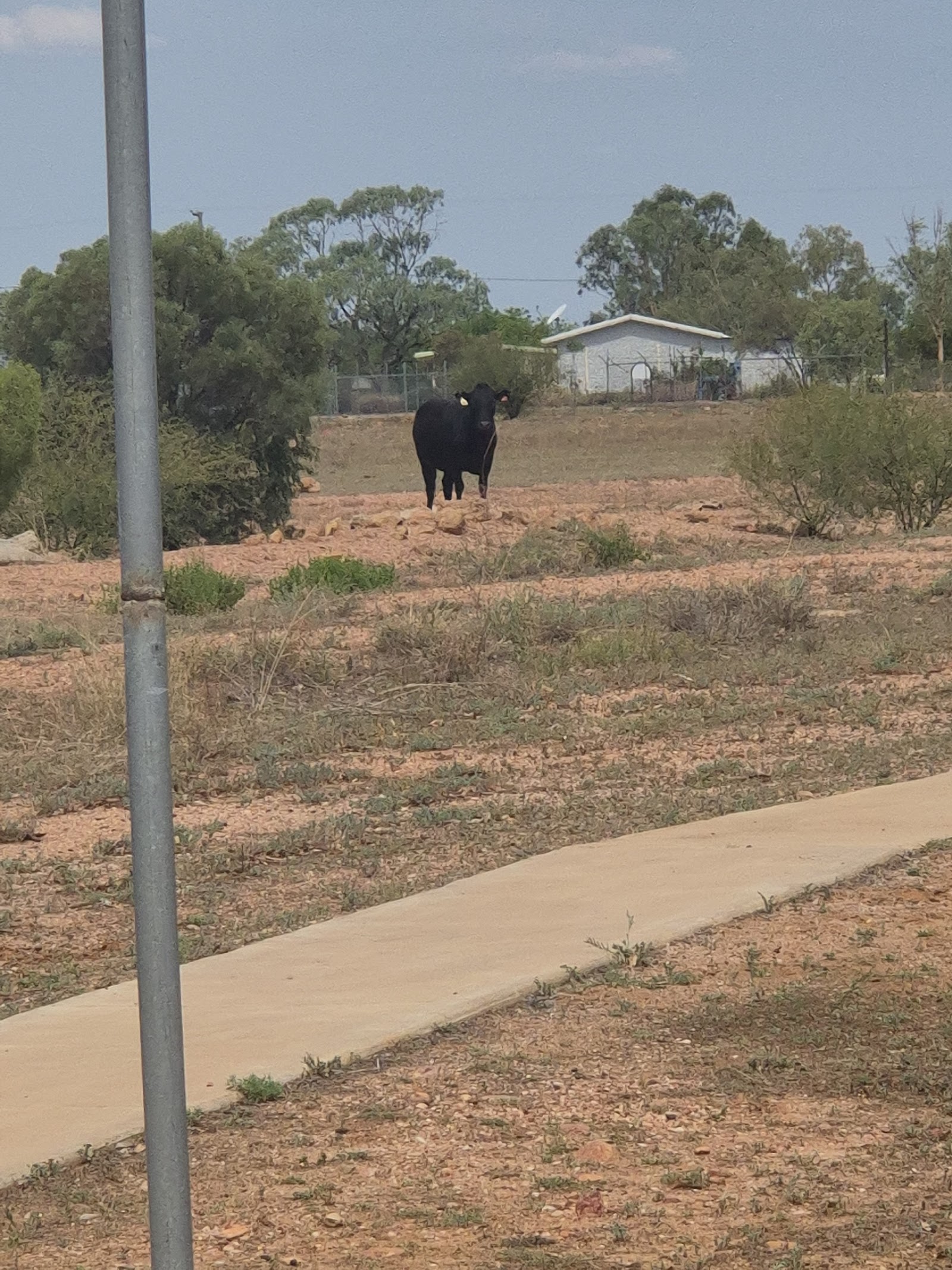 Muttaburra Freedom Park 3