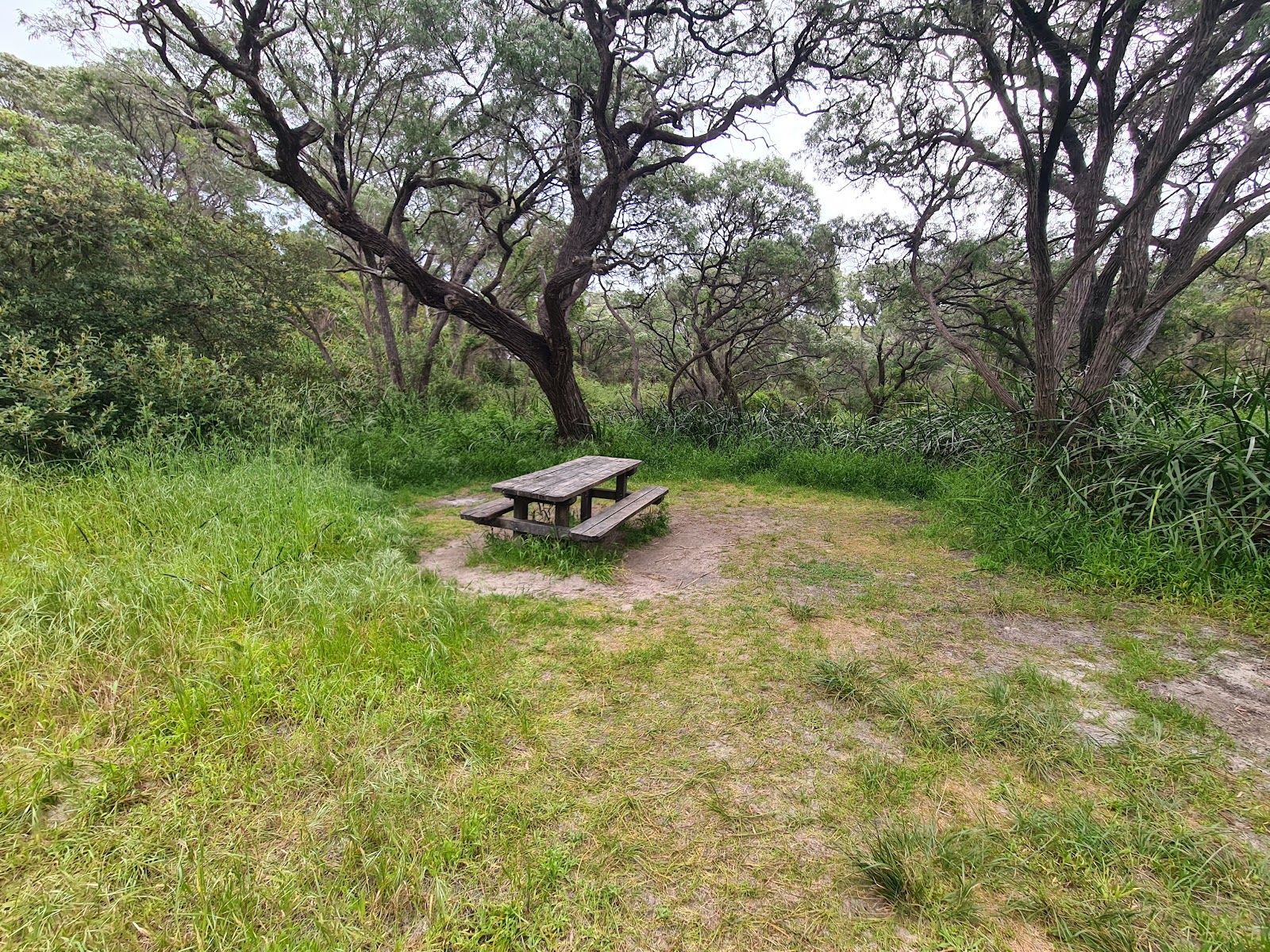 Deepdene Campsite 2
