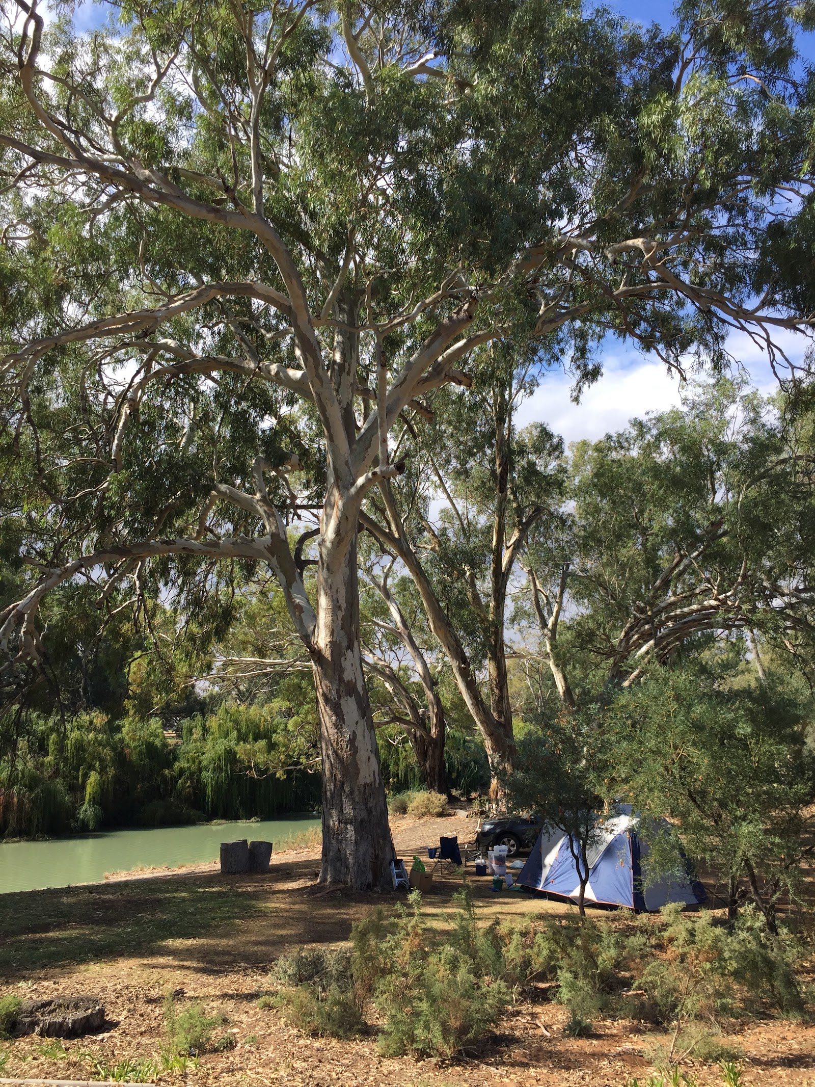 Avoca-on-Darling Hospitality 3