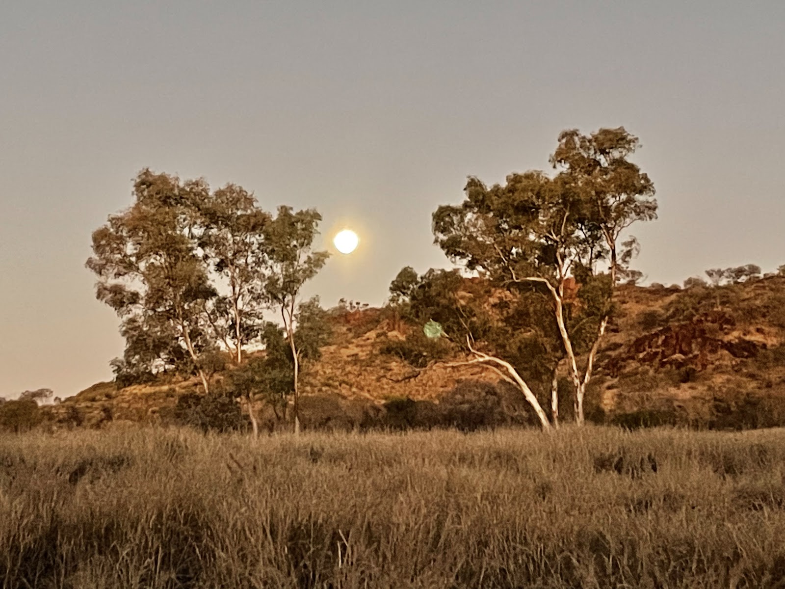Finke River 2 mile campground 3