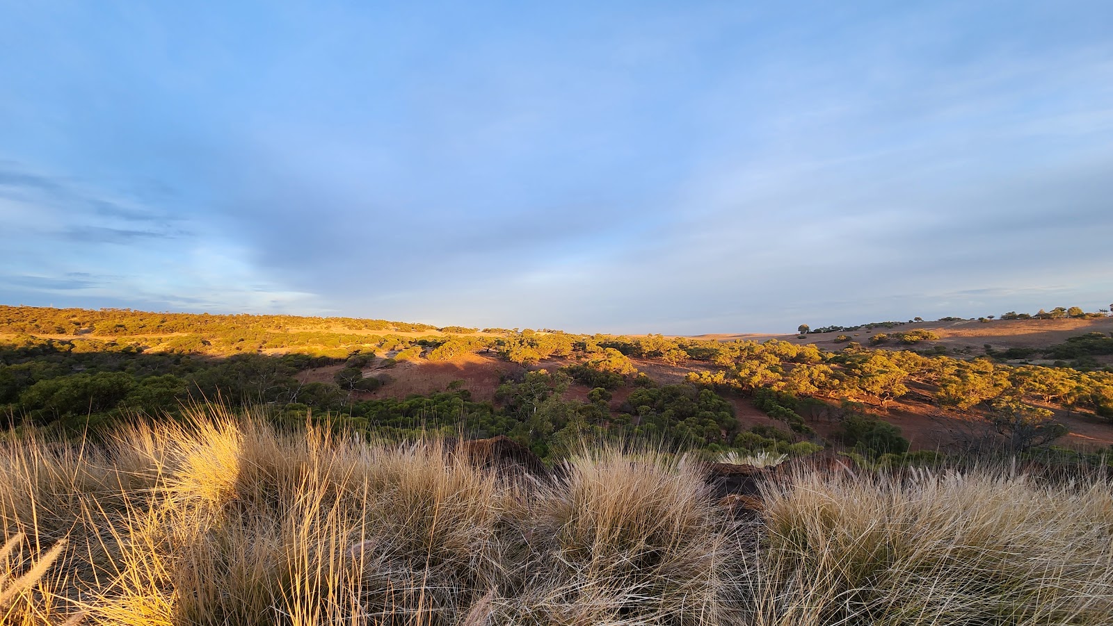 Lookout 3