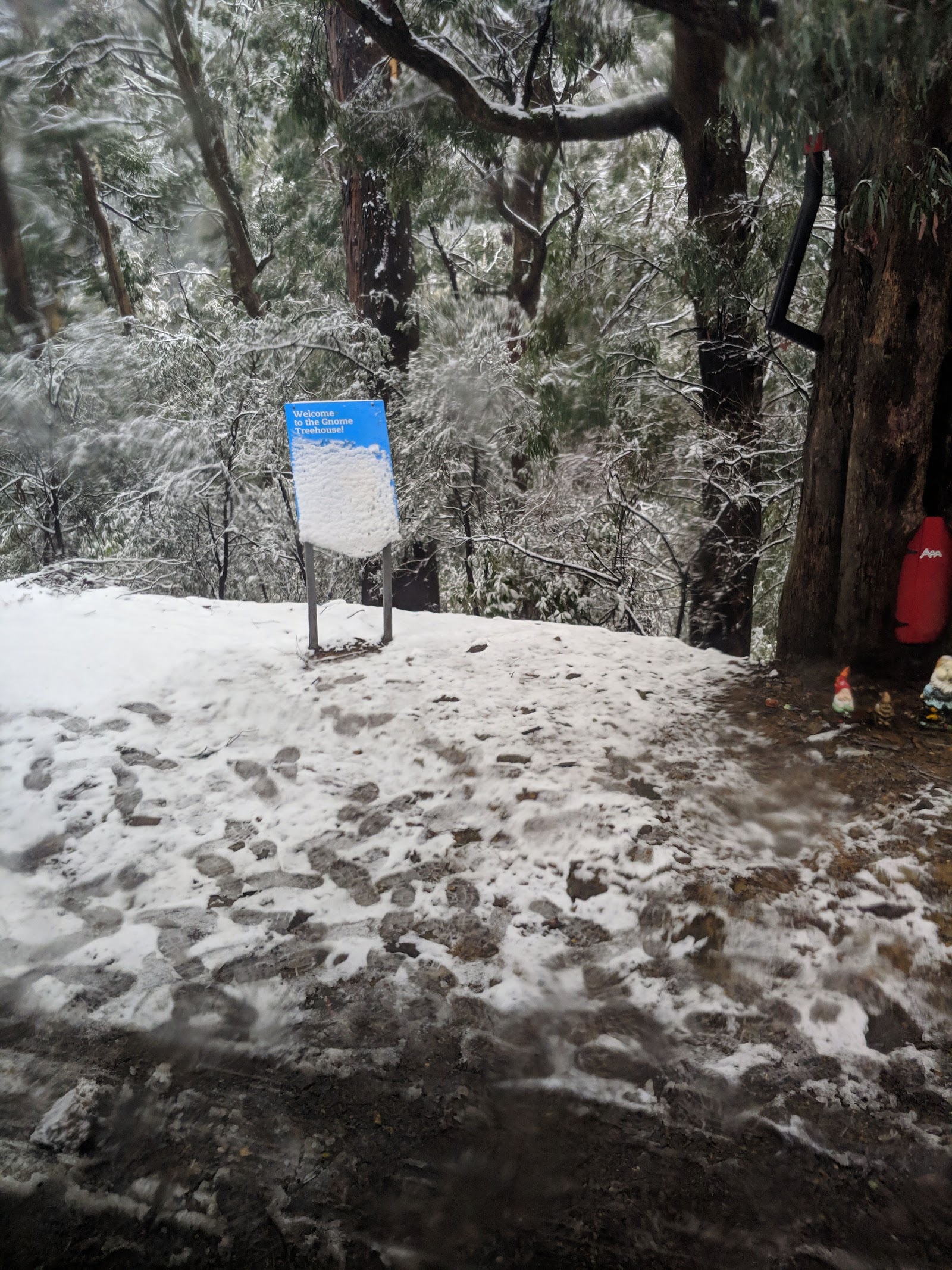 Mirimbah Campsite 4
